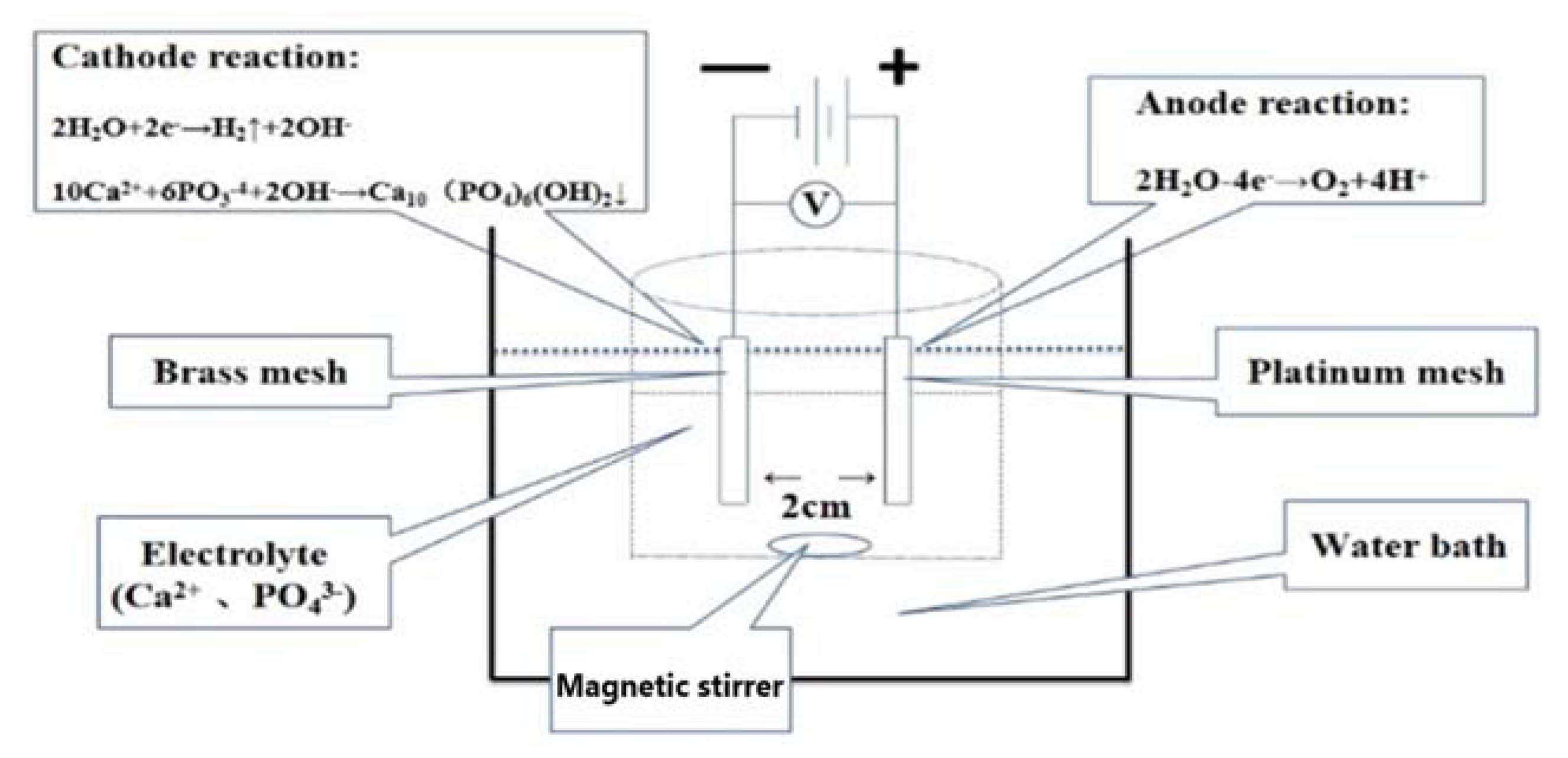 Molecules 27 05624 sch001