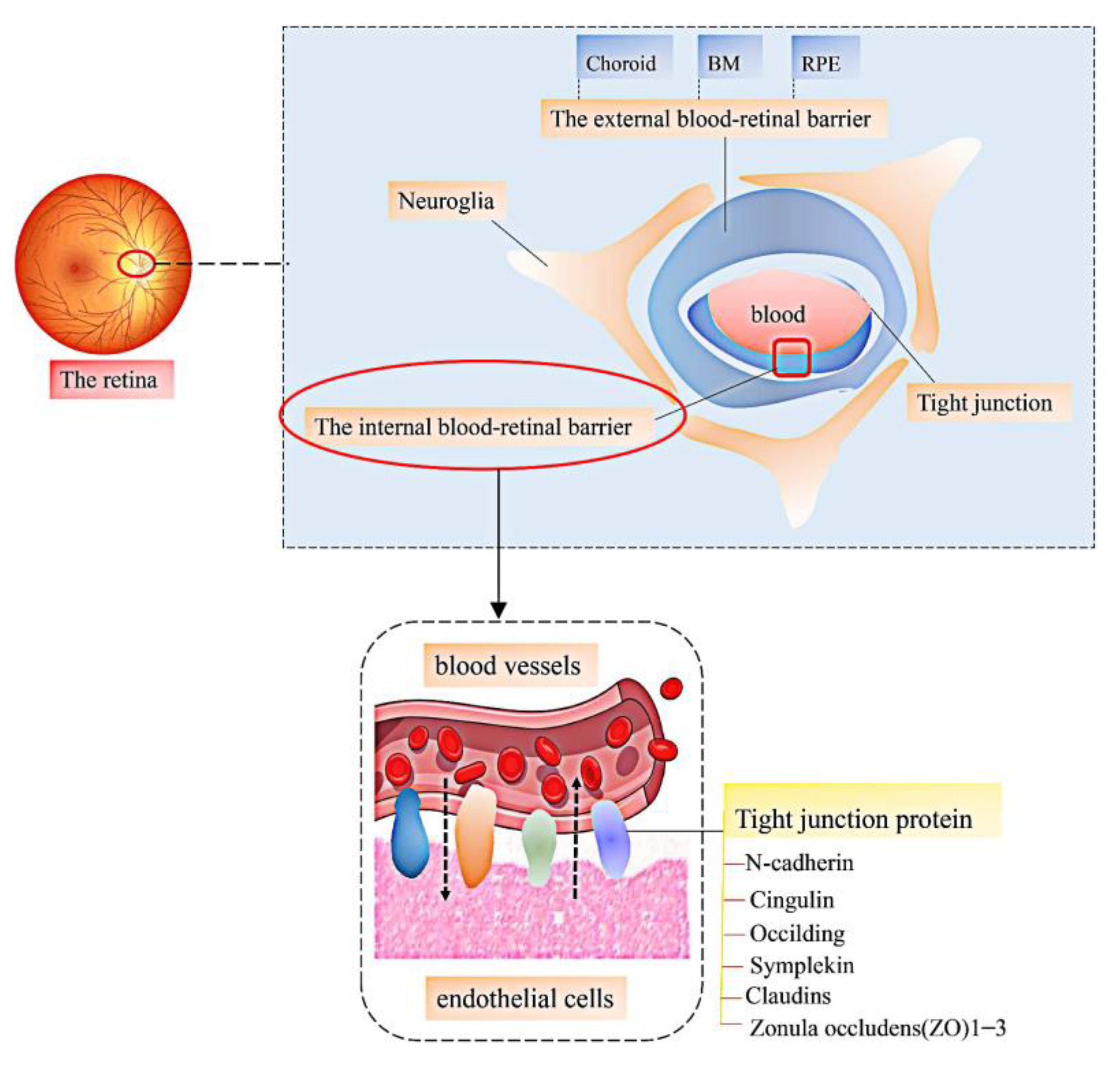 Molecules 27 05628 g003