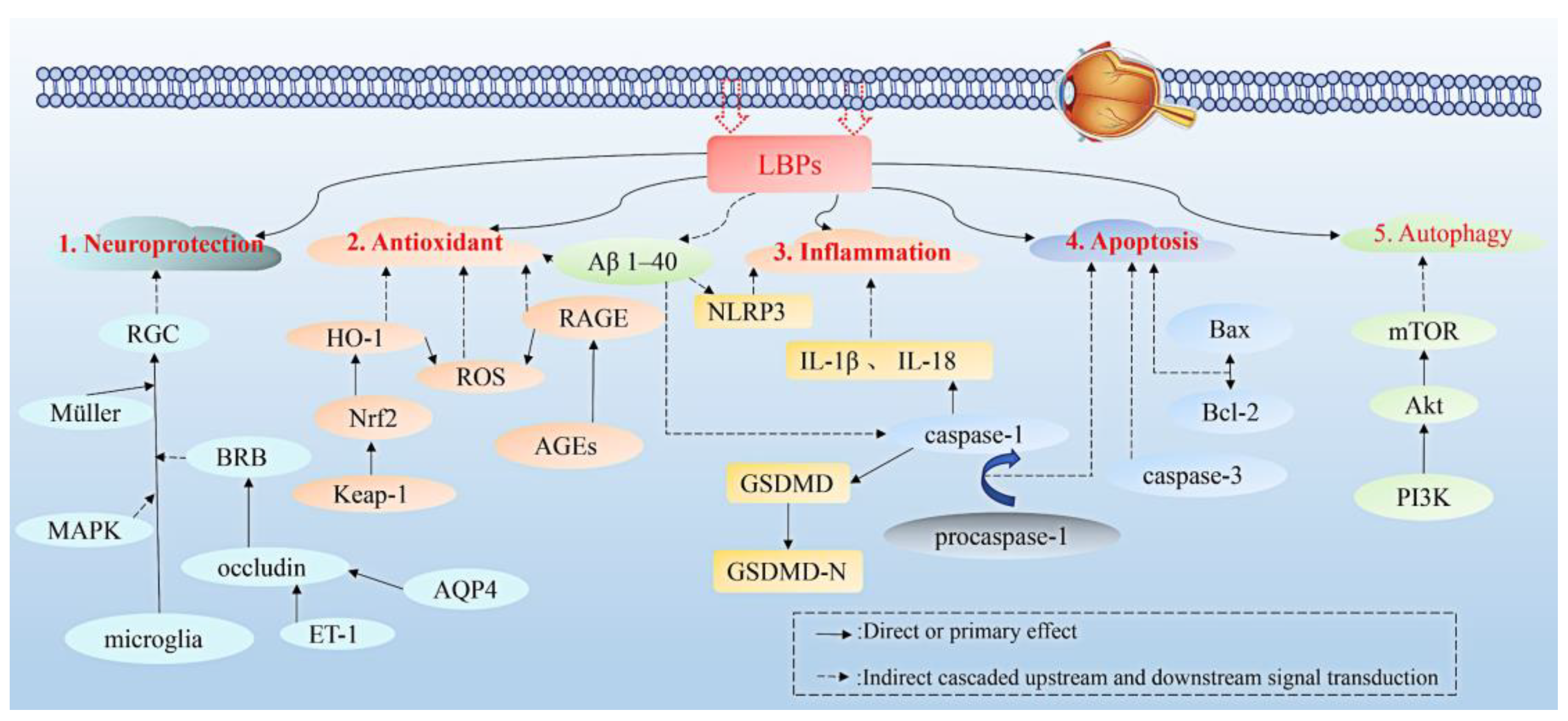 Molecules 27 05628 g005