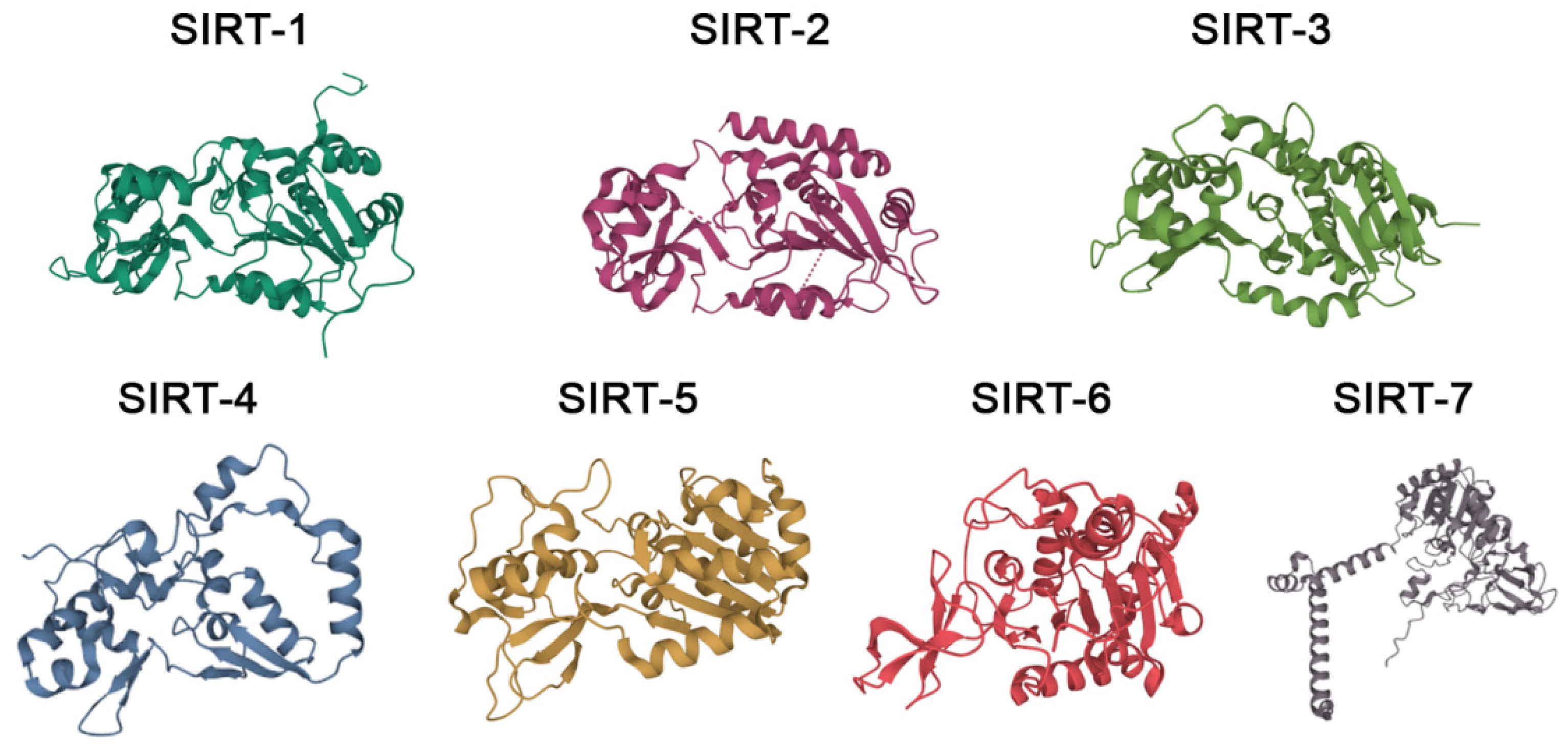 Molecules 27 05641 g001