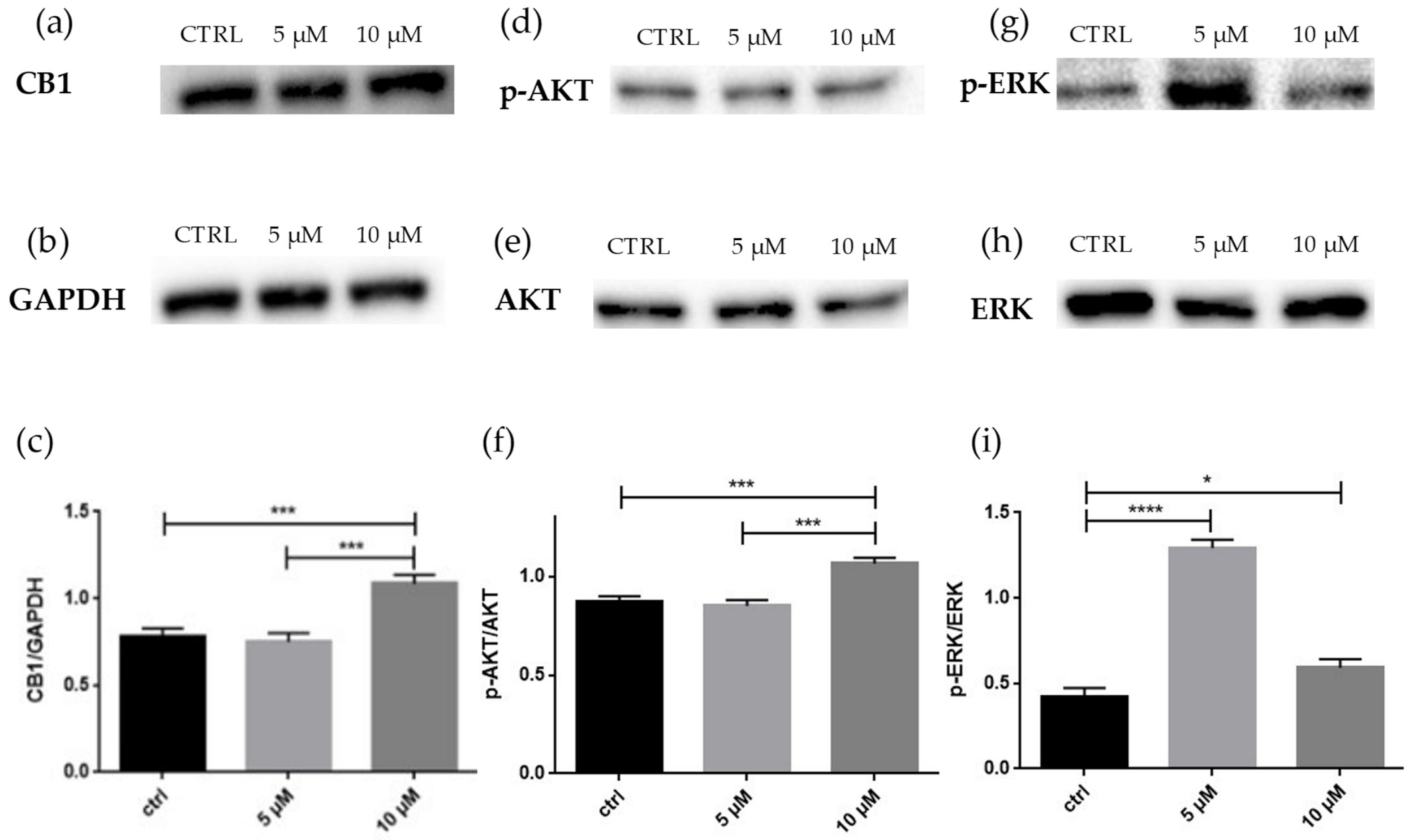 Molecules 27 05644 g005