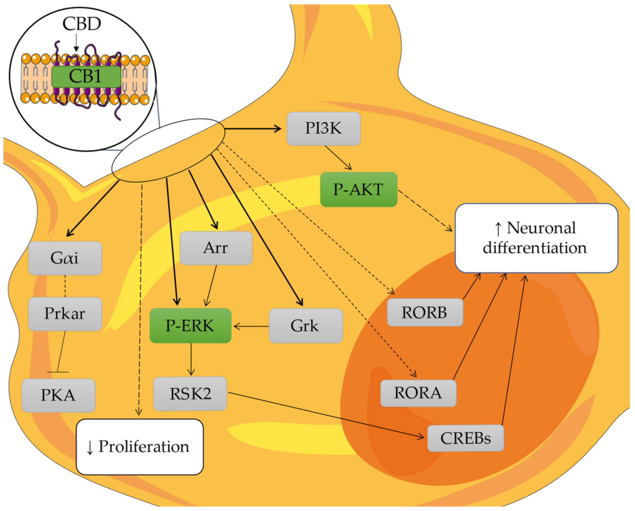 Molecules 27 05644 g006