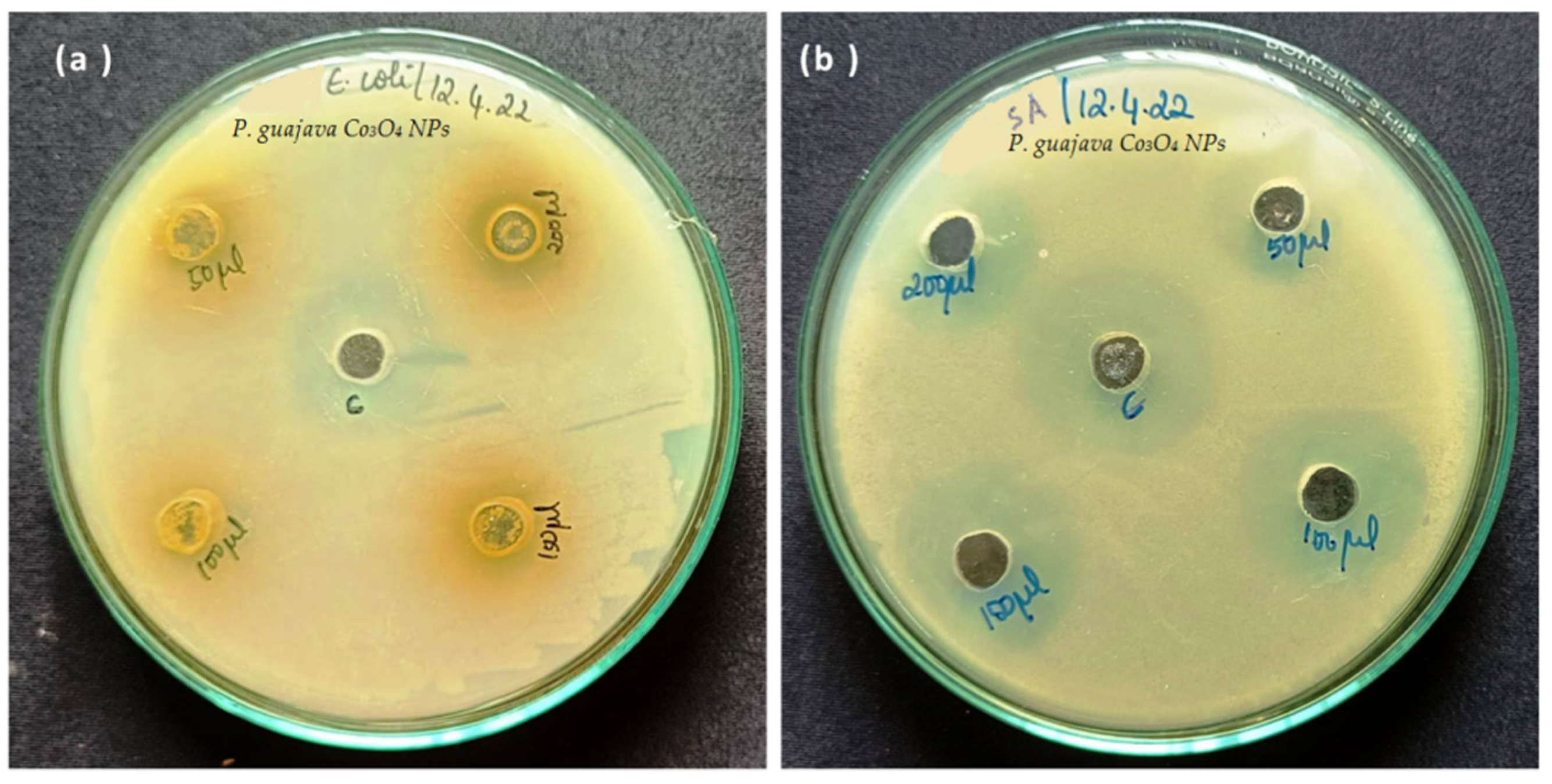 Molecules 27 05646 g009 Molecules 27 05646 g009