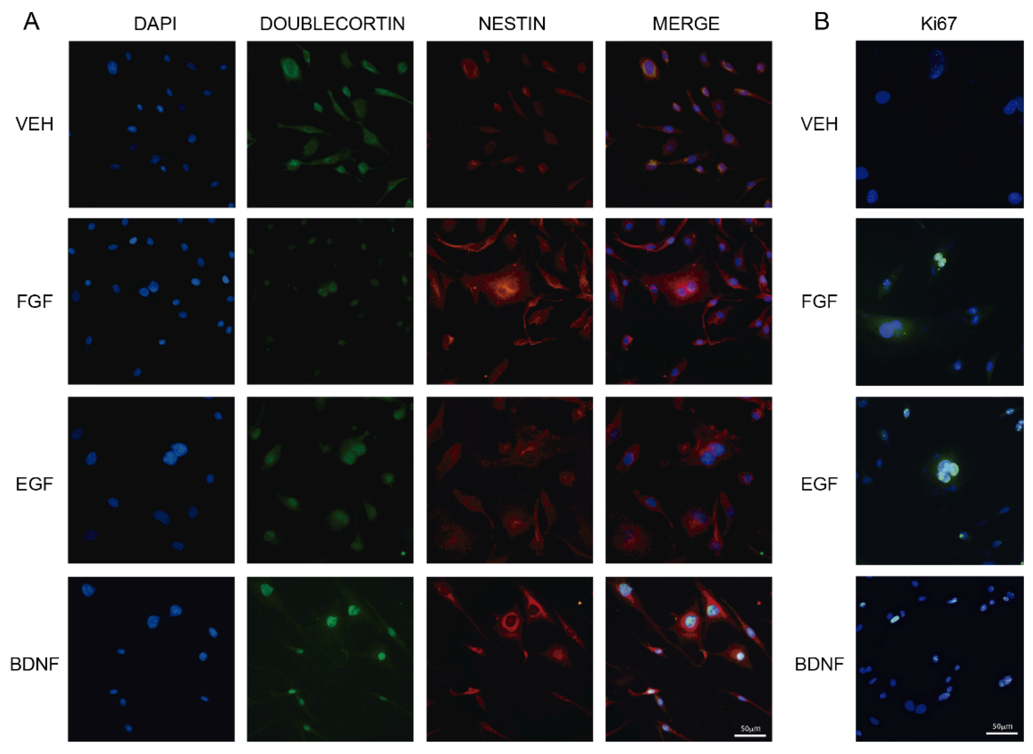 Molecules 27 05650 g001