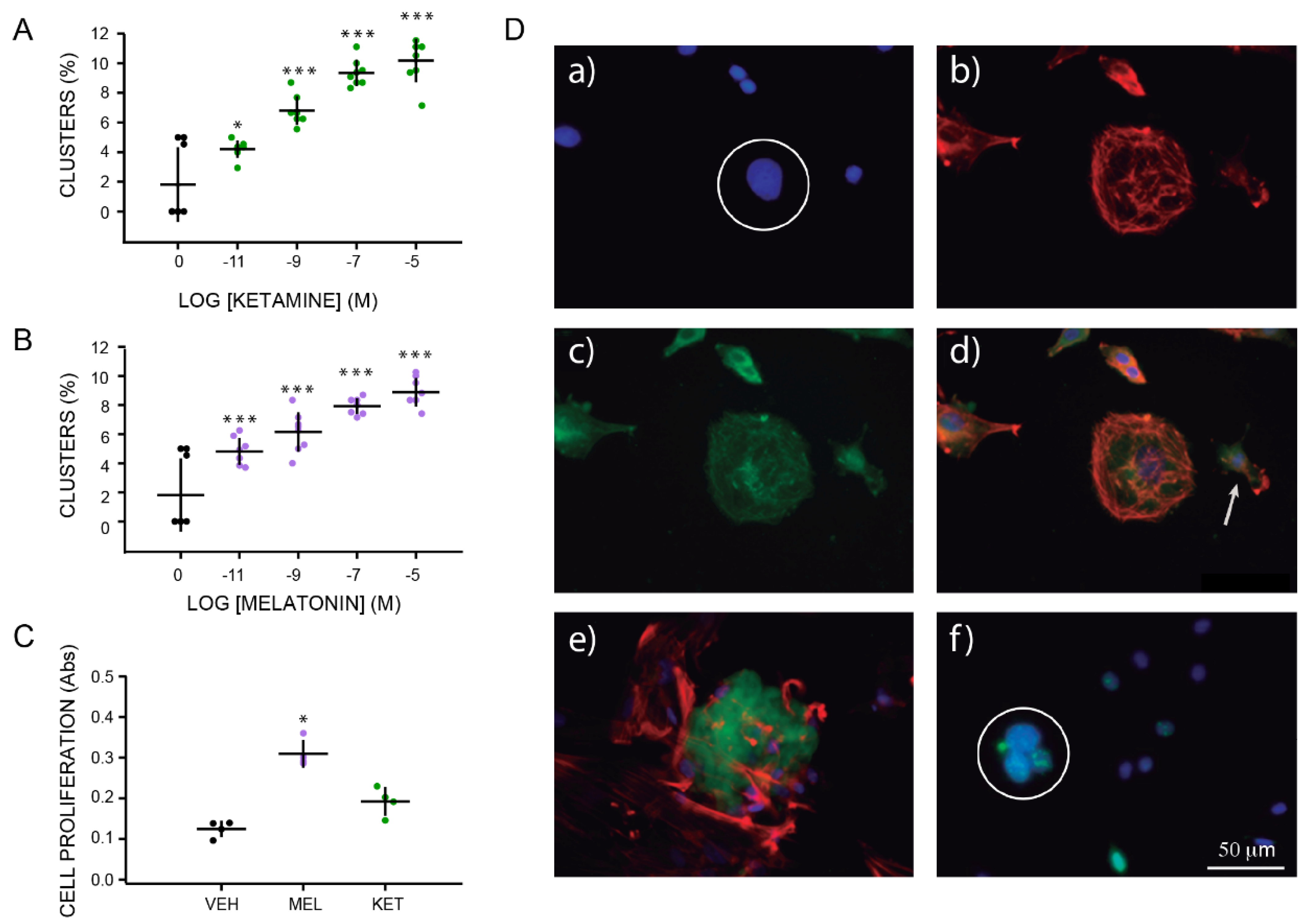 Molecules 27 05650 g002