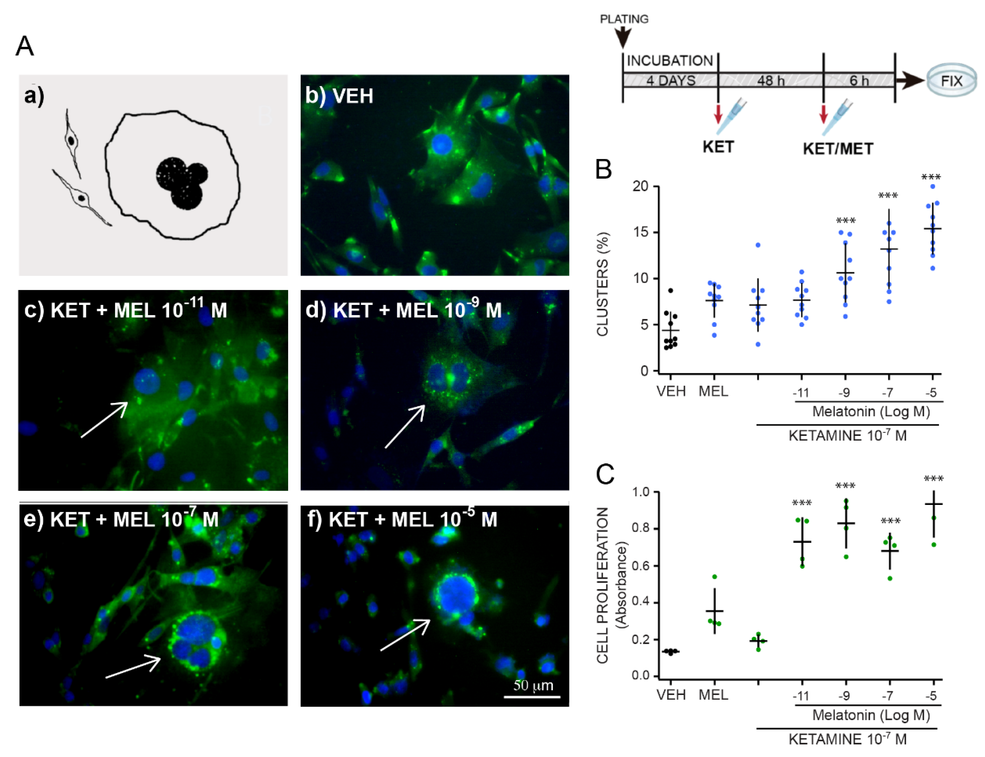 Molecules 27 05650 g003