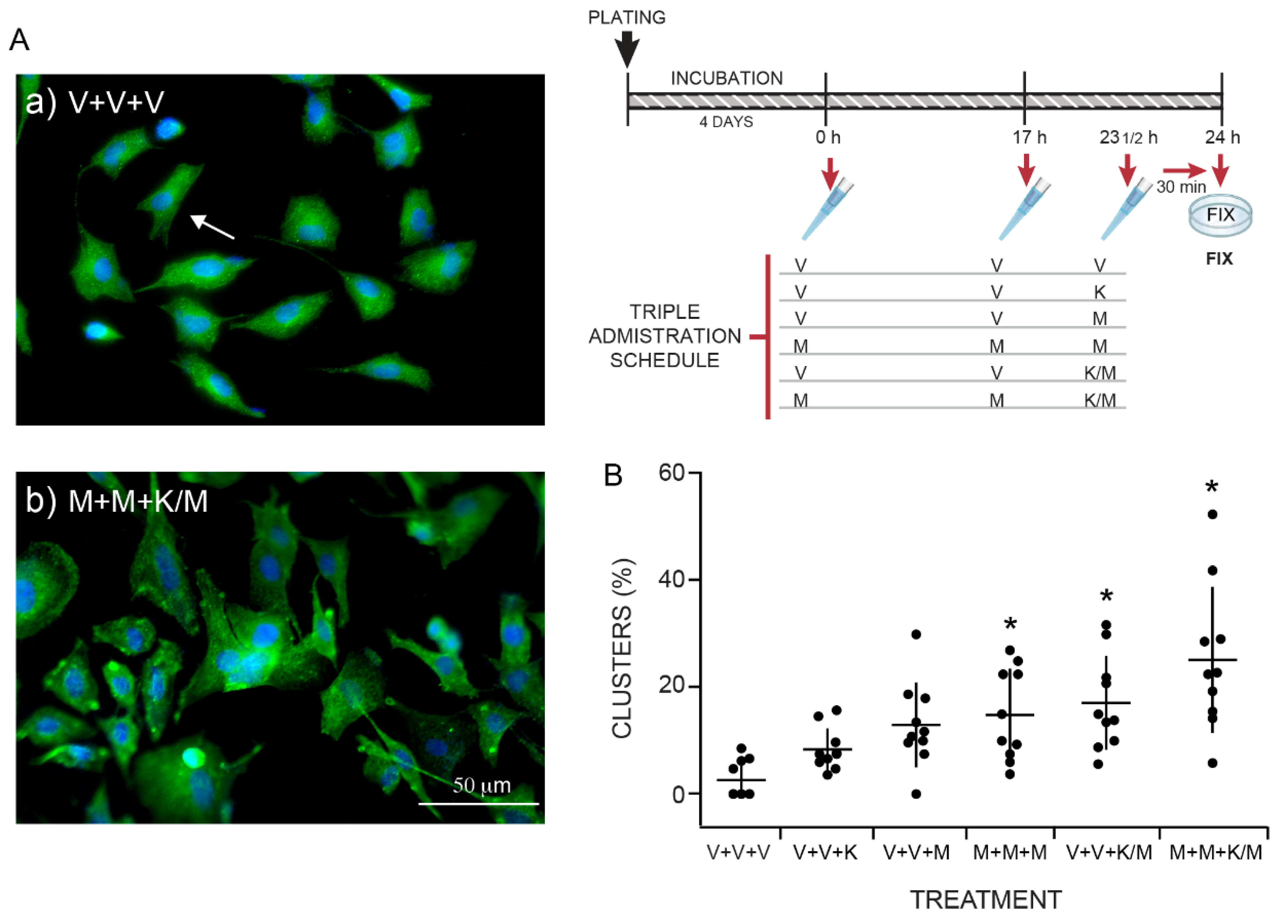 Molecules 27 05650 g004
