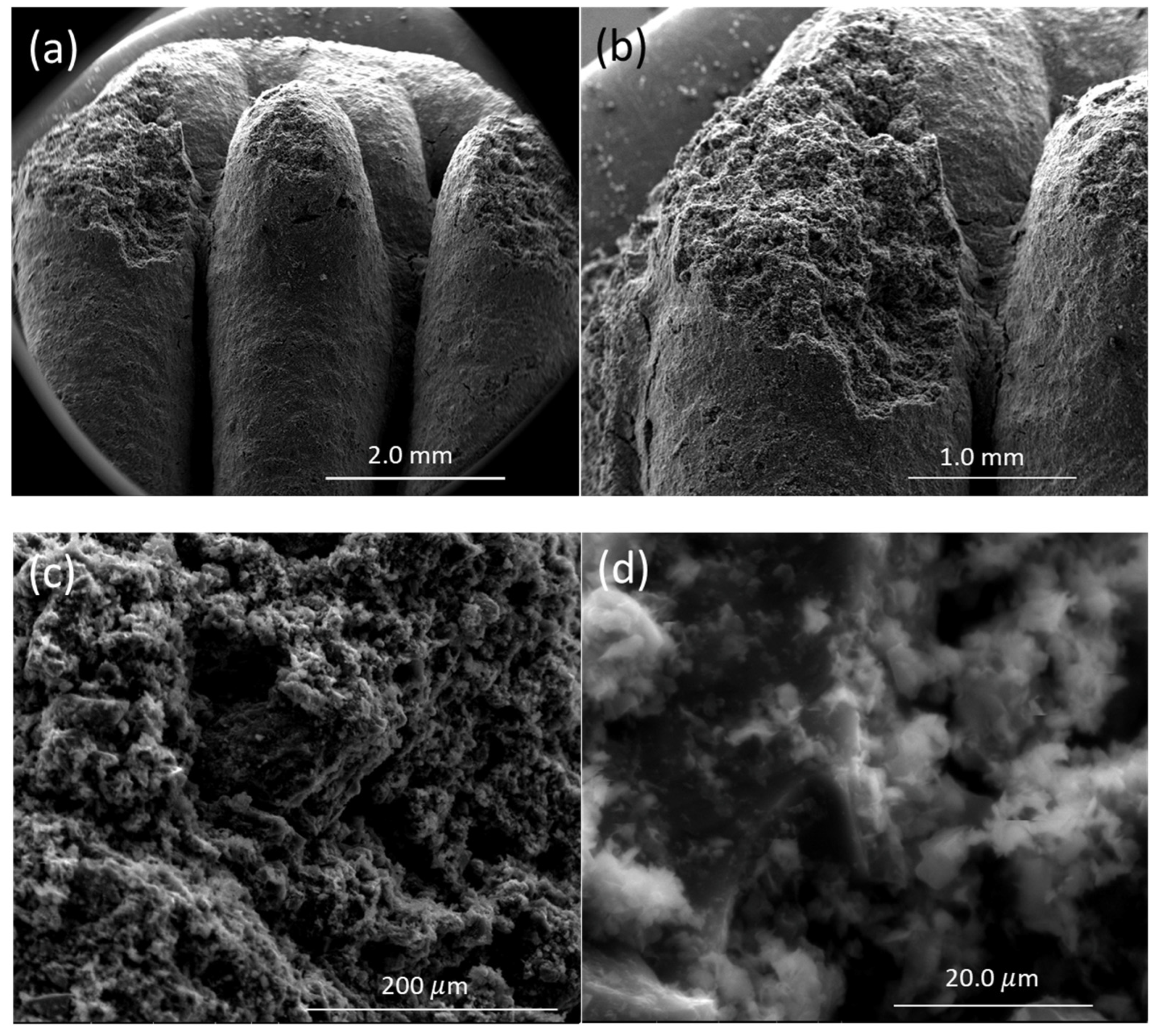 Molecules 27 05653 g005