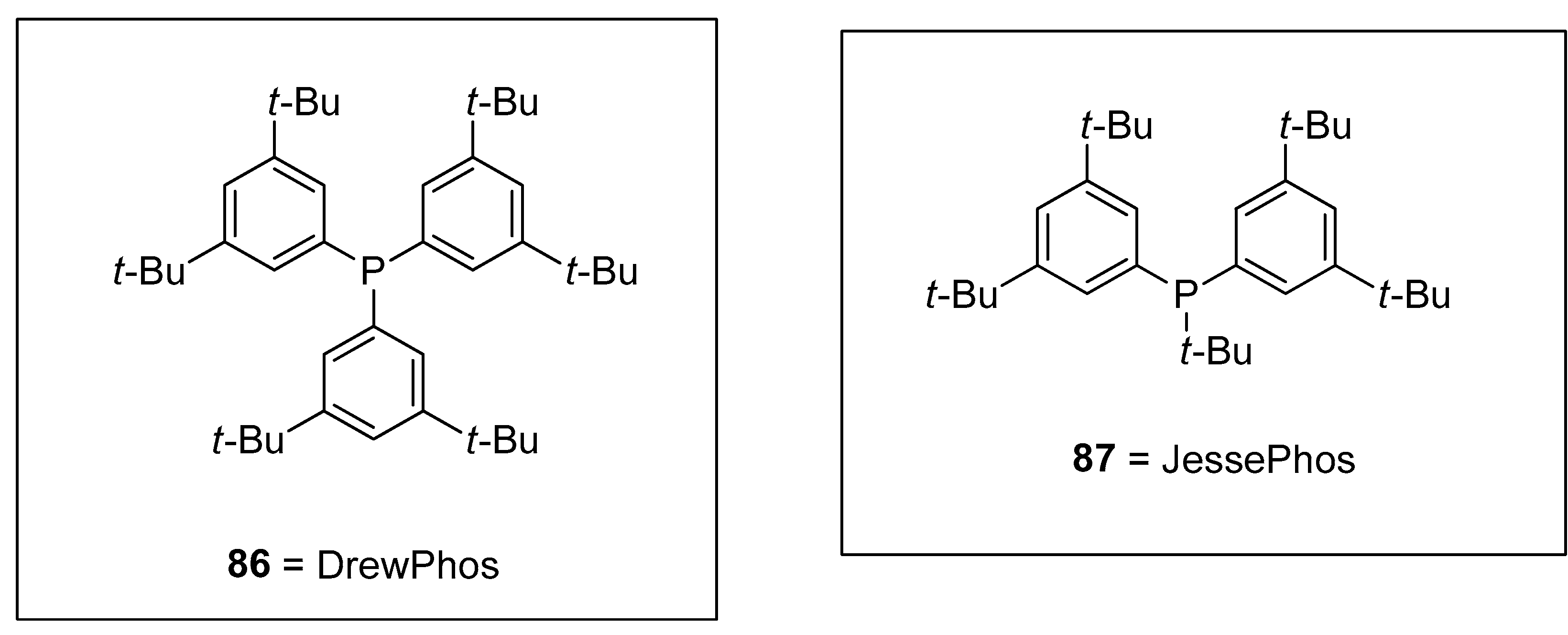 Molecules 27 05654 g002