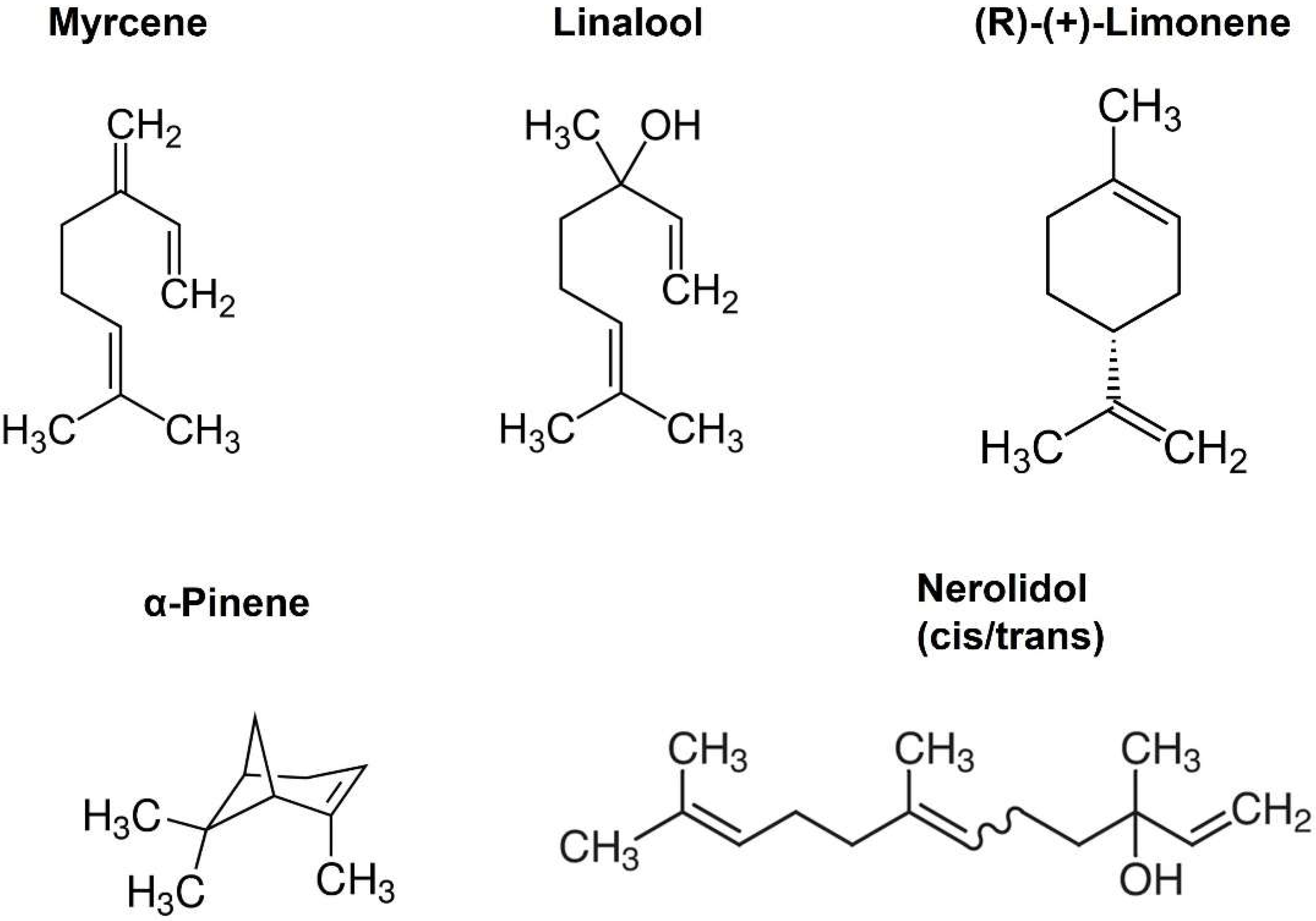 Molecules 27 05655 g001