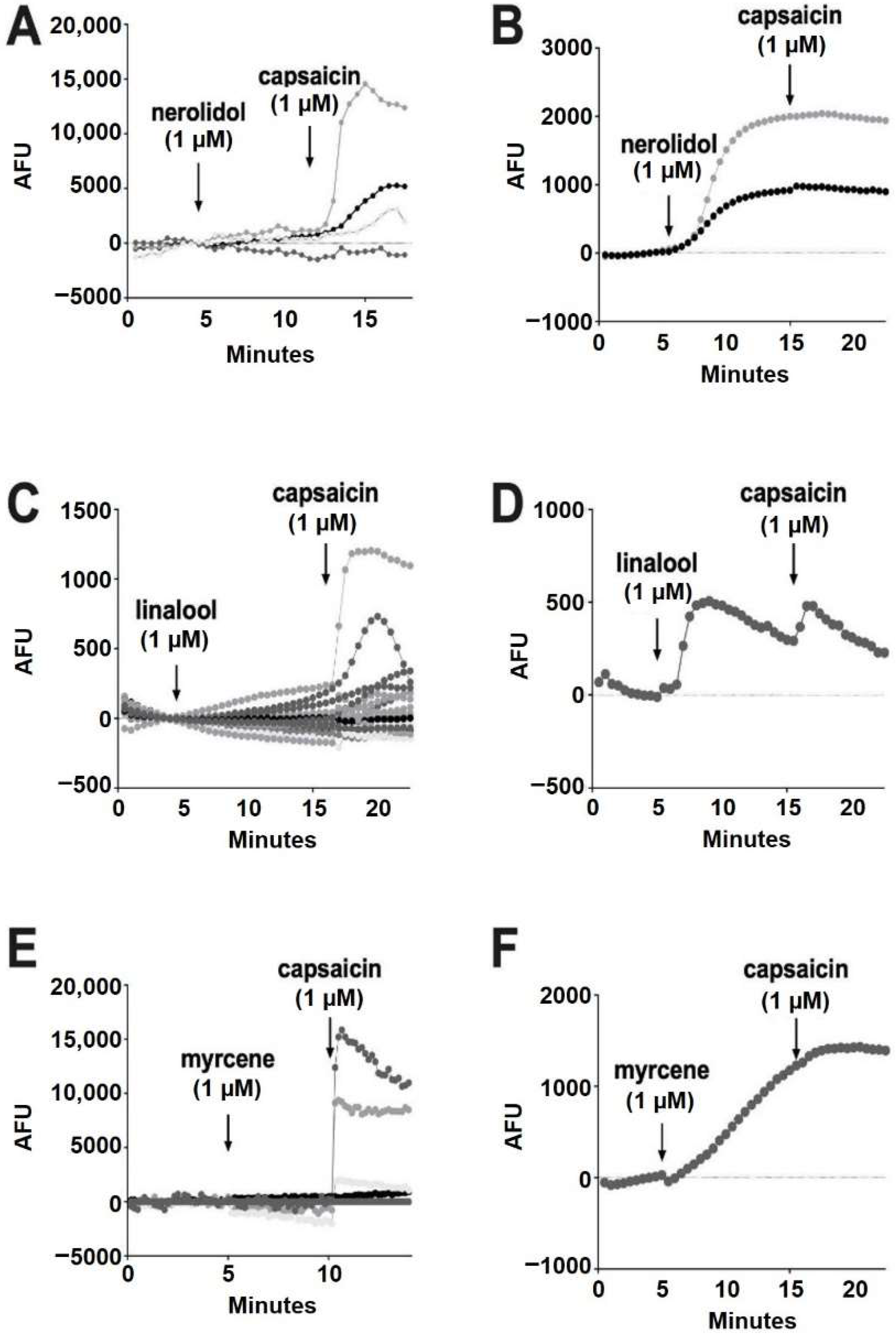 Molecules 27 05655 g006