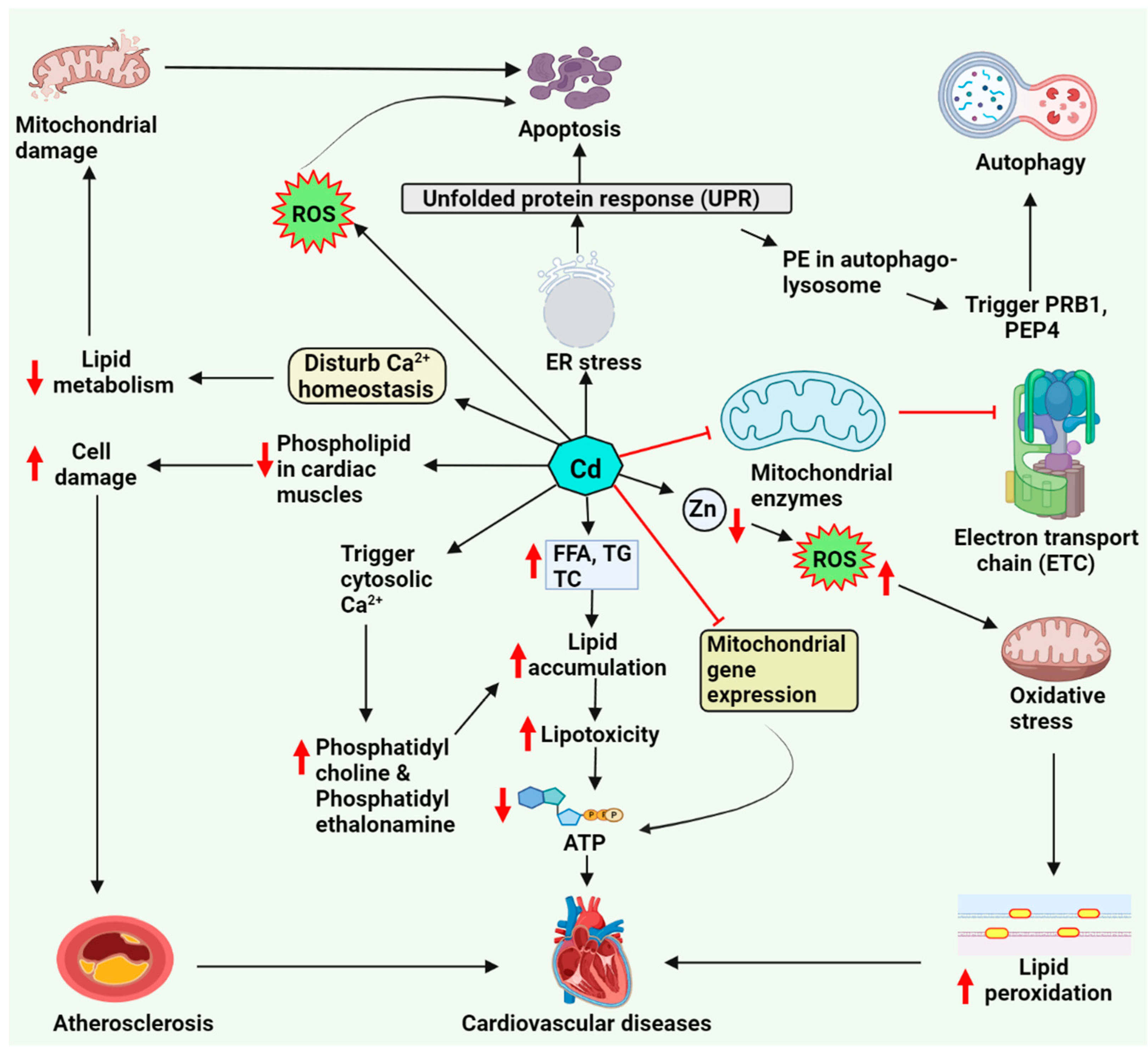 Molecules 27 05657 g001