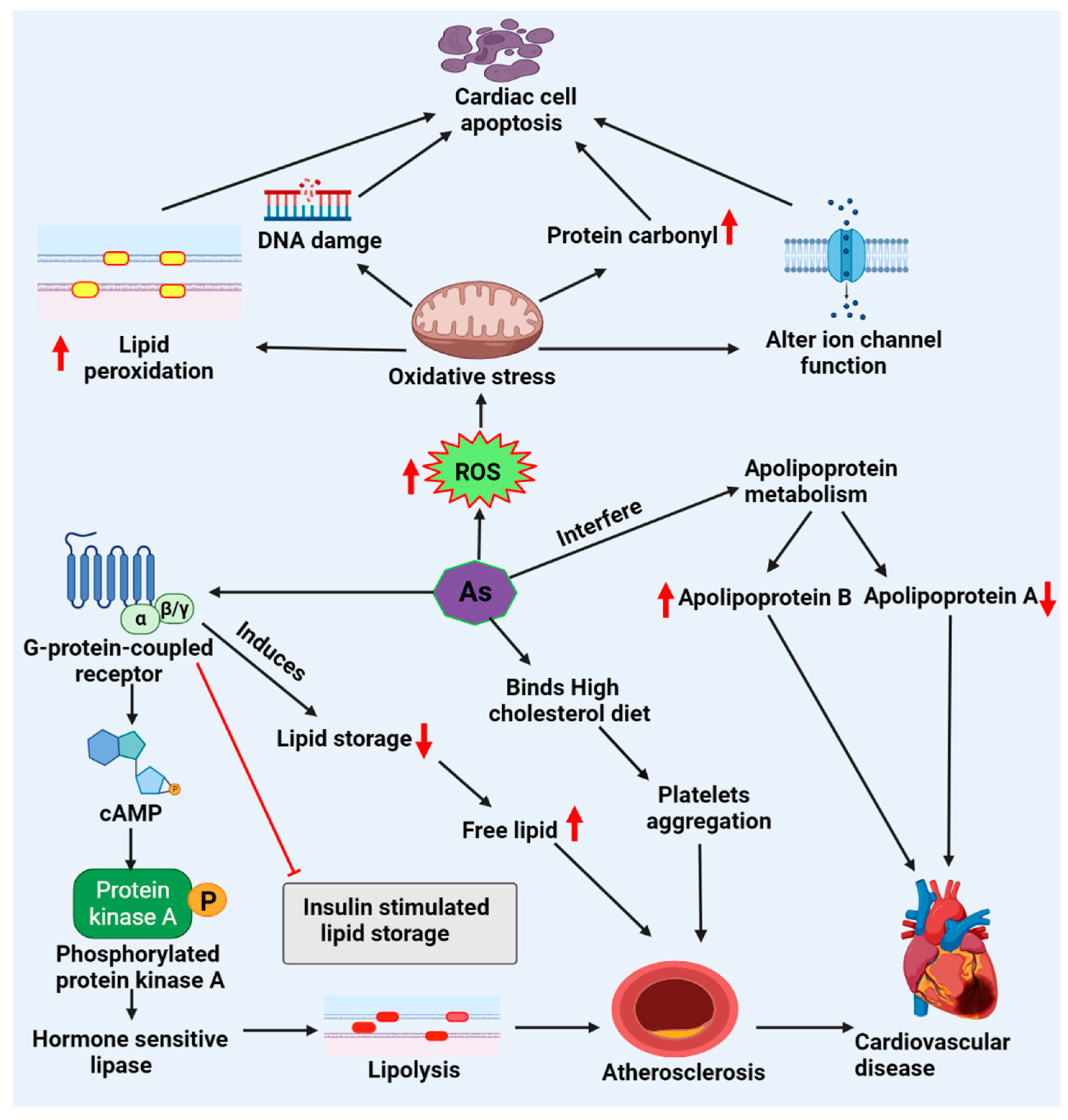 Molecules 27 05657 g002