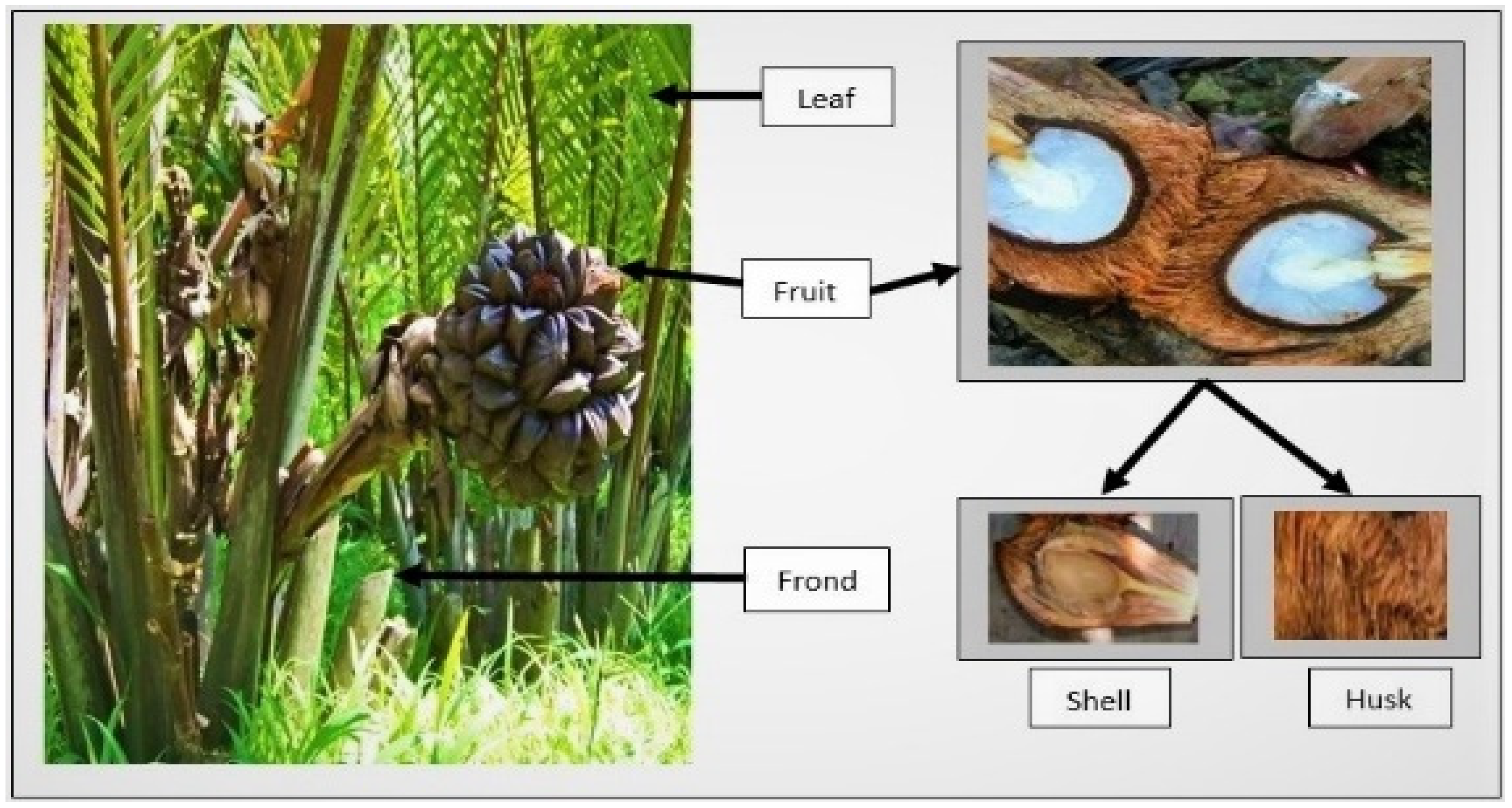 Molecules 27 05662 g001 Molecules 27 05662 g001