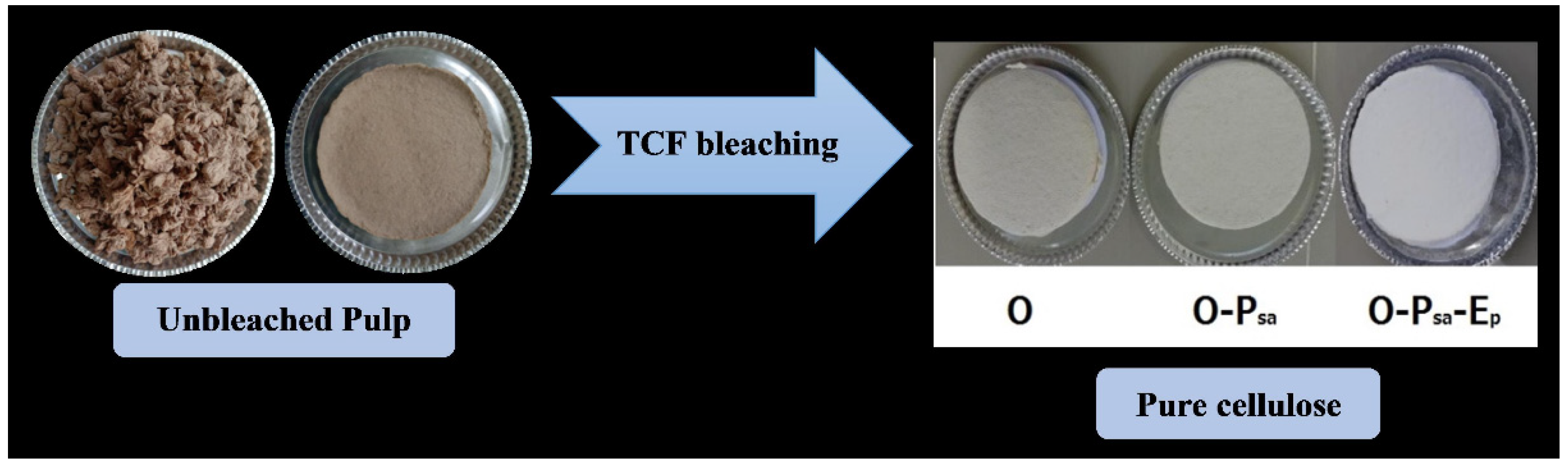 Molecules 27 05662 g007 Molecules 27 05662 g007