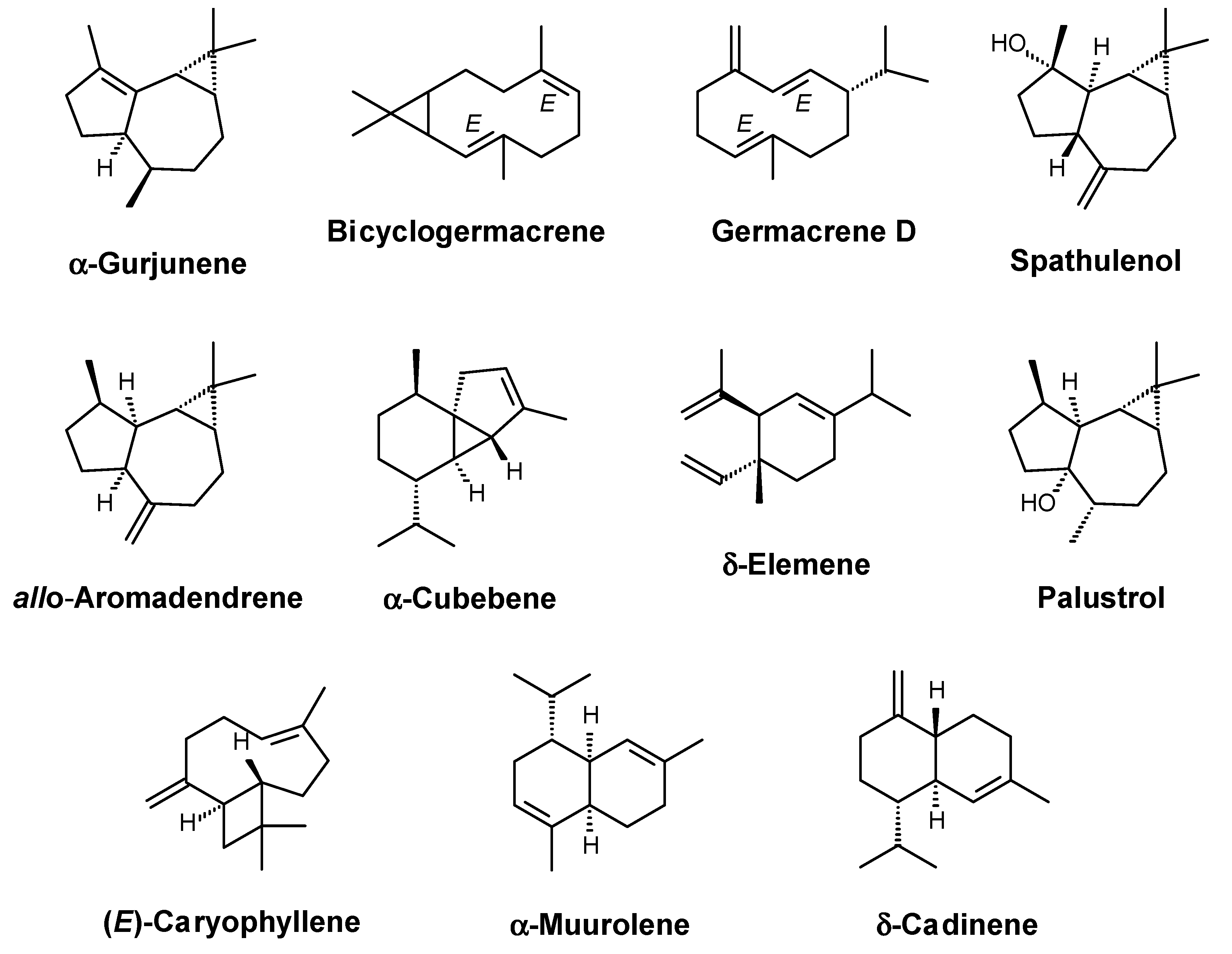 Molecules 27 05664 g001