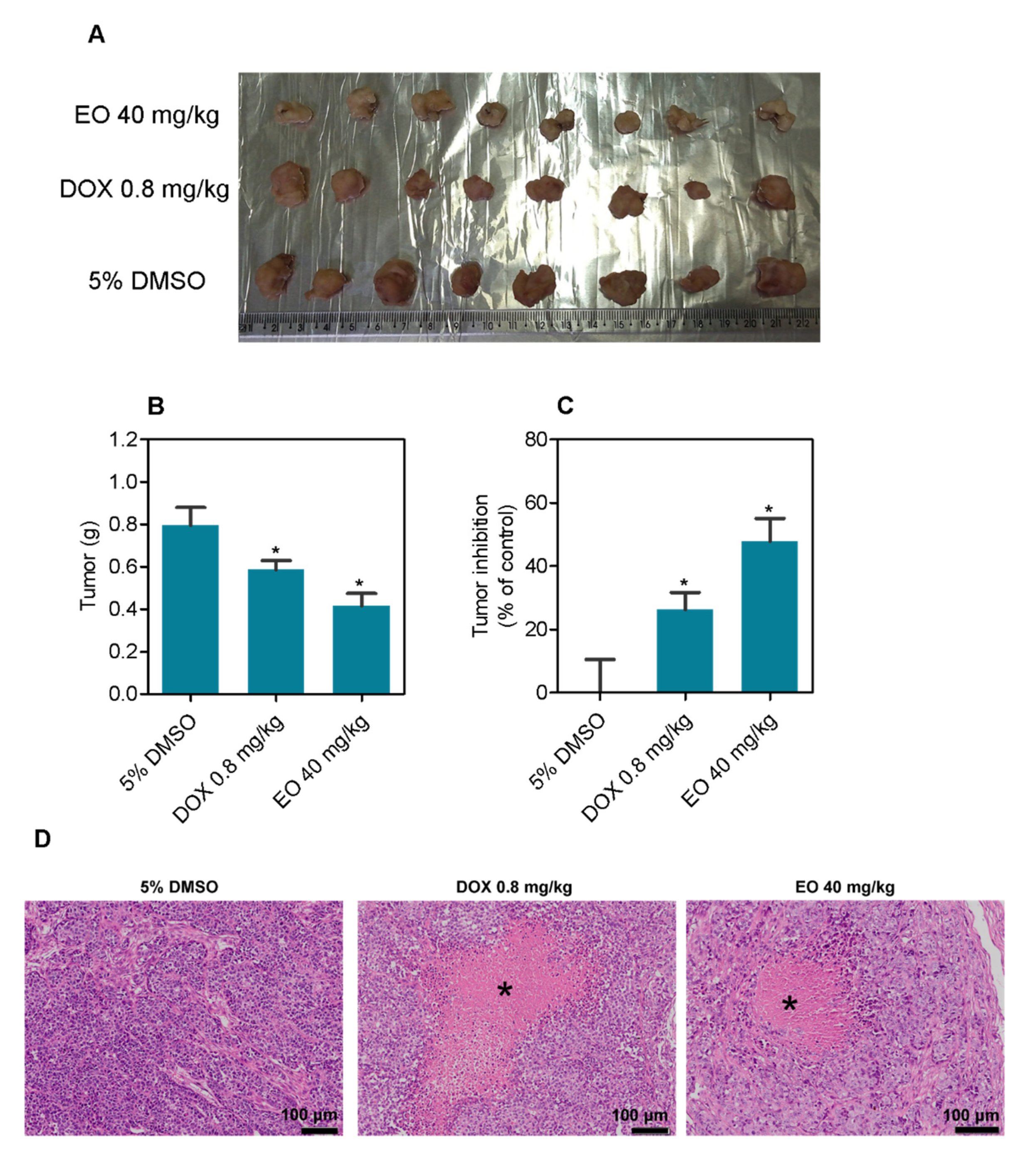 Molecules 27 05664 g003