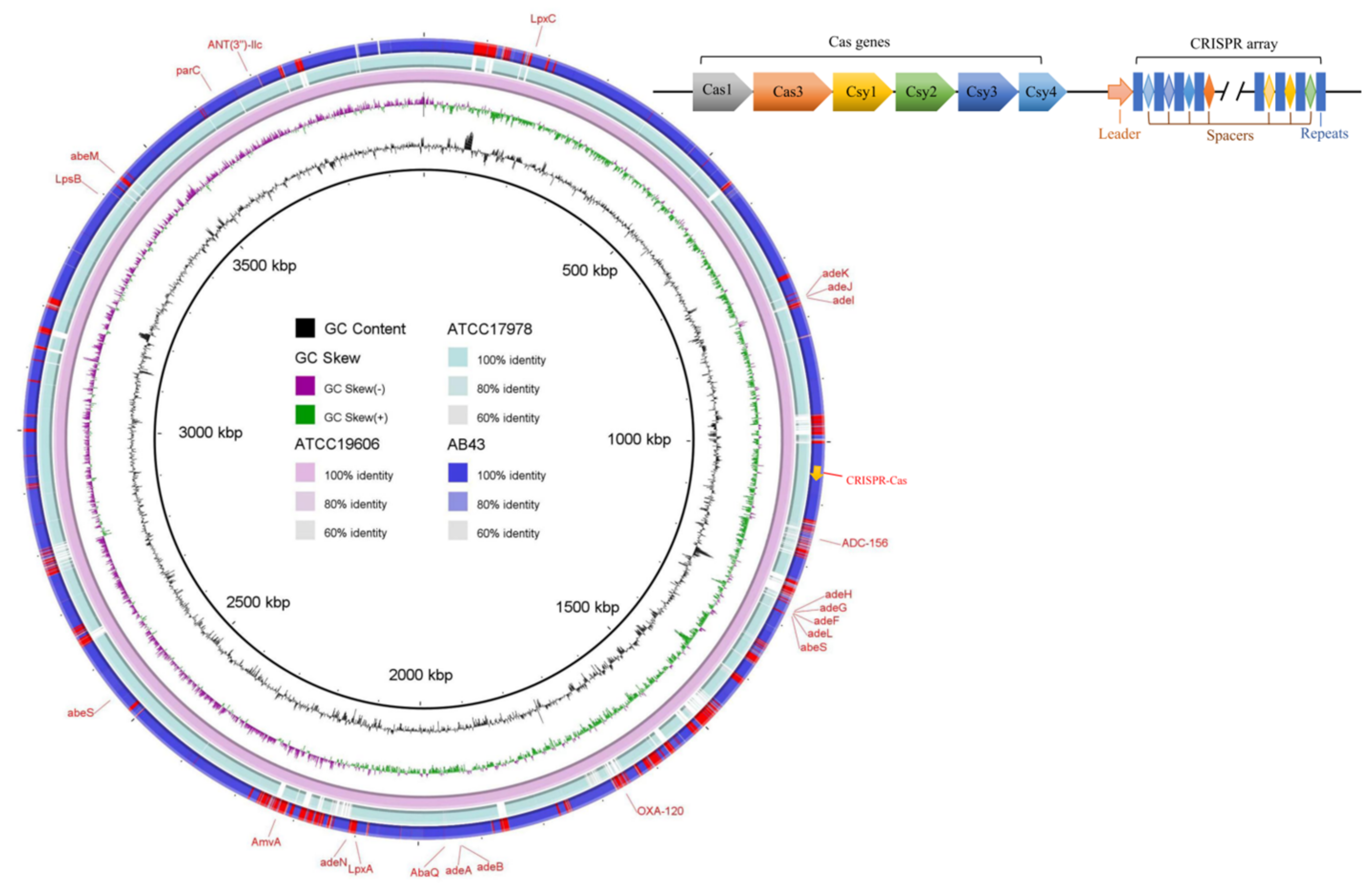 Molecules 27 05665 g002 Molecules 27 05665 g002