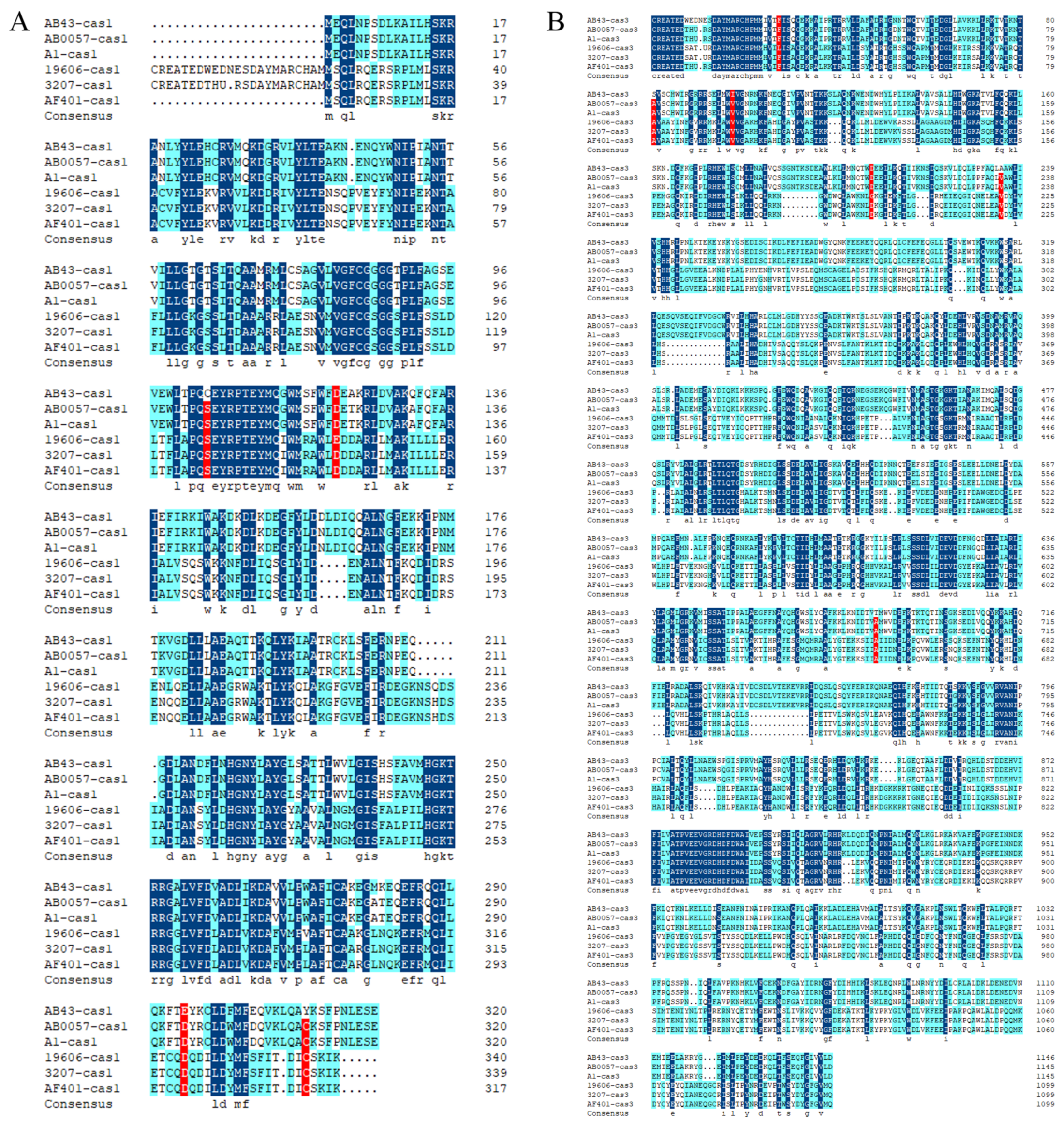 Molecules 27 05665 g004 Molecules 27 05665 g004