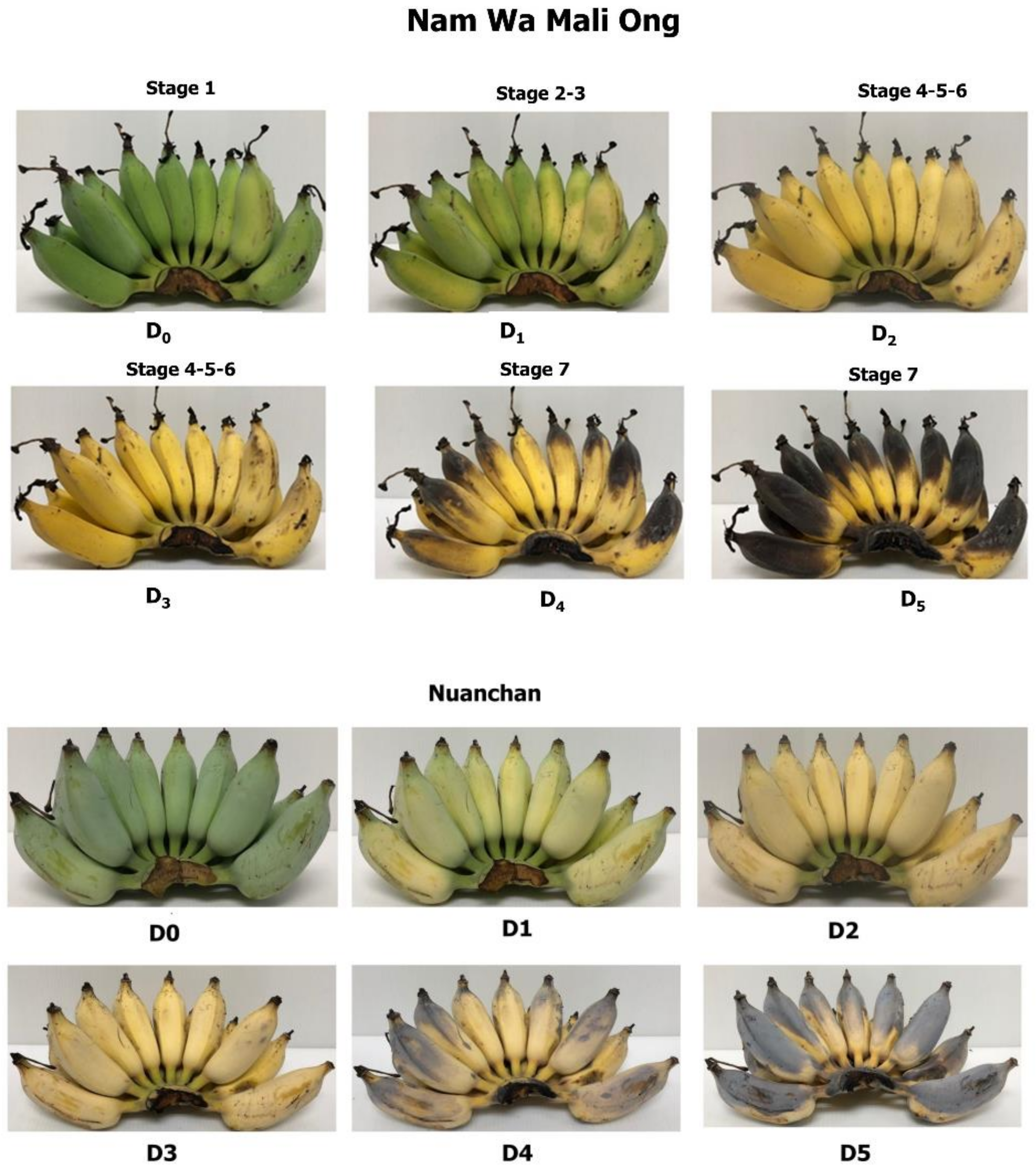 Molecules 27 05675 g002