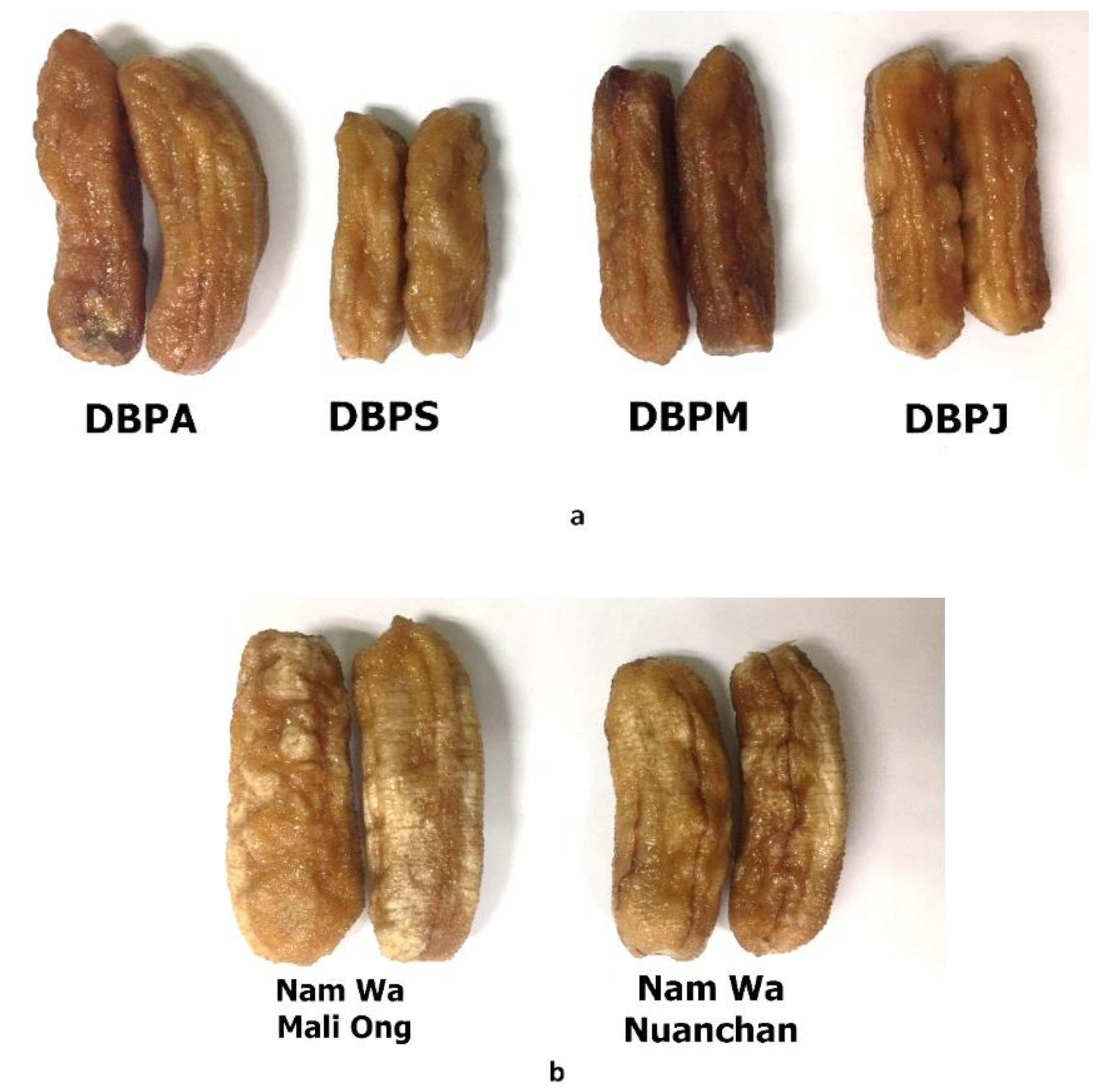 Molecules 27 05675 g008