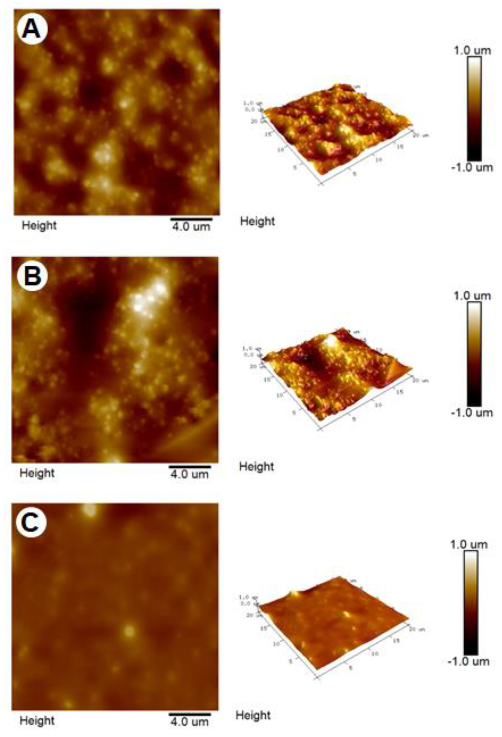 Molecules 27 05679 g004