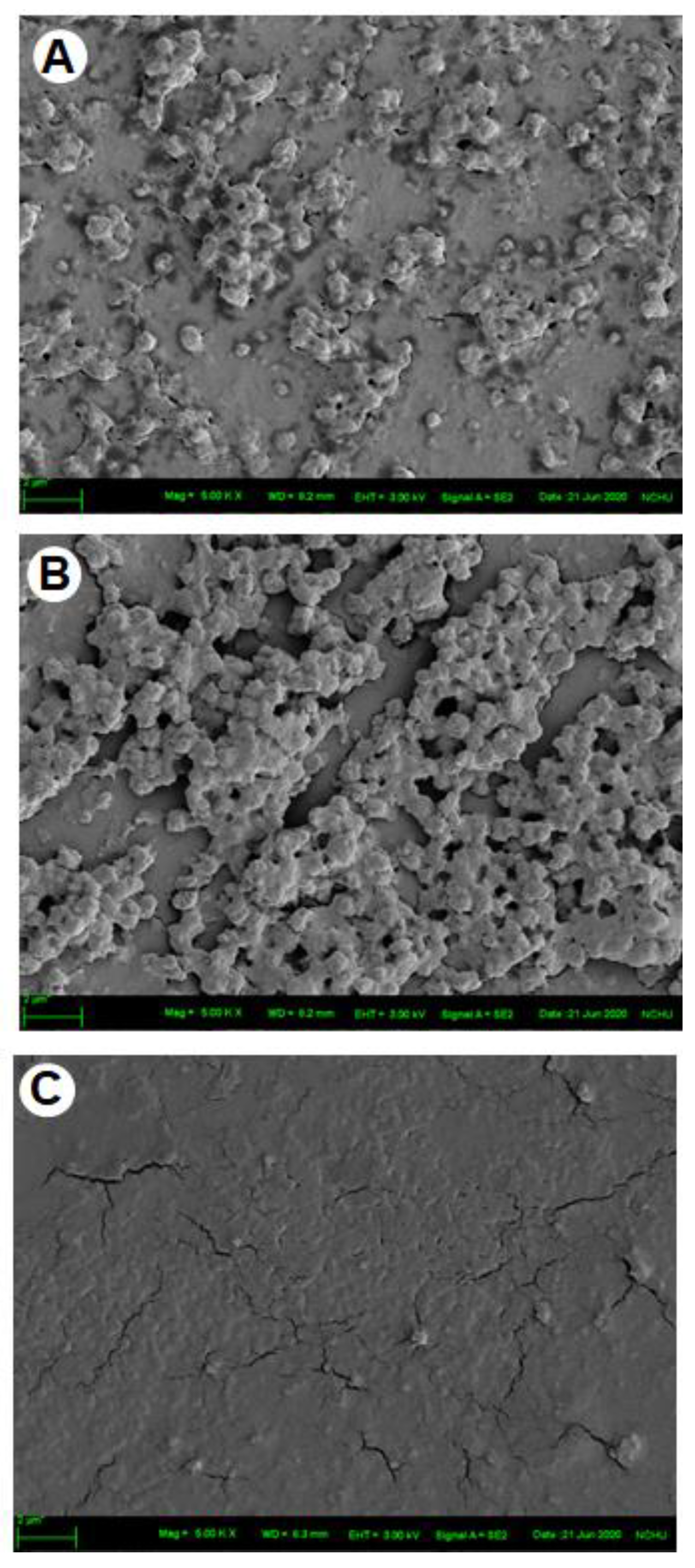 Molecules 27 05679 g006
