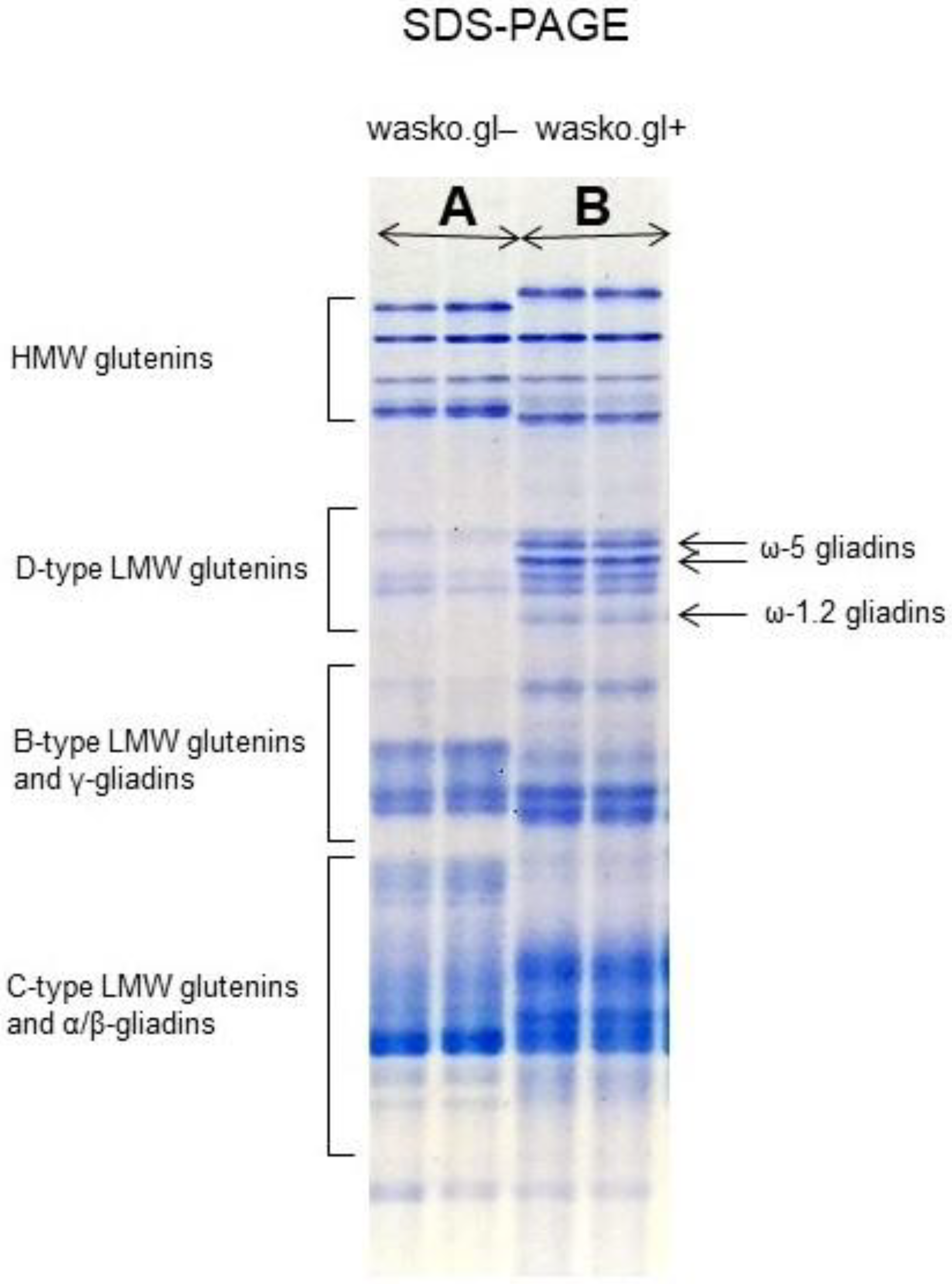 Molecules 27 05684 g002