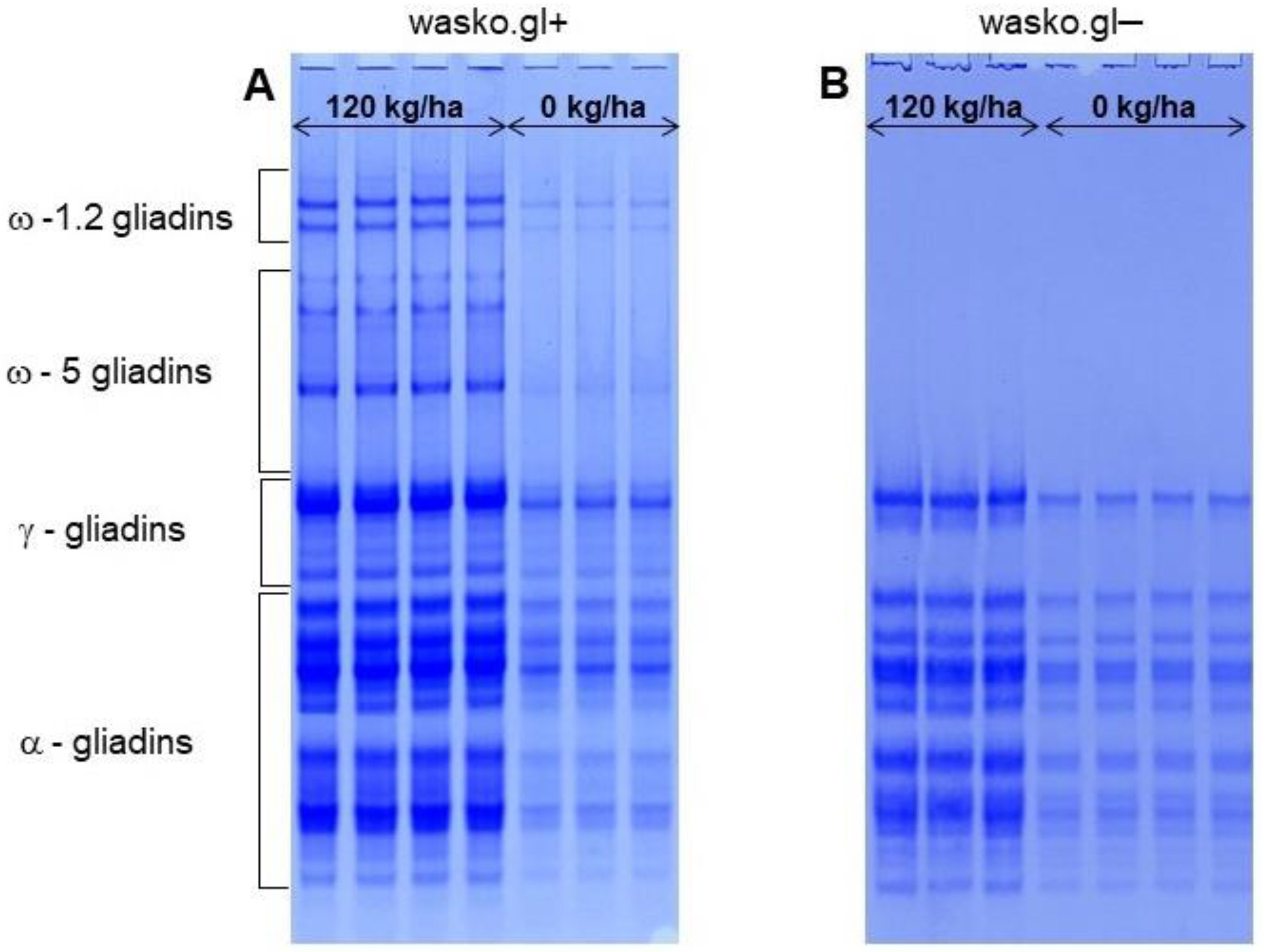 Molecules 27 05684 g003