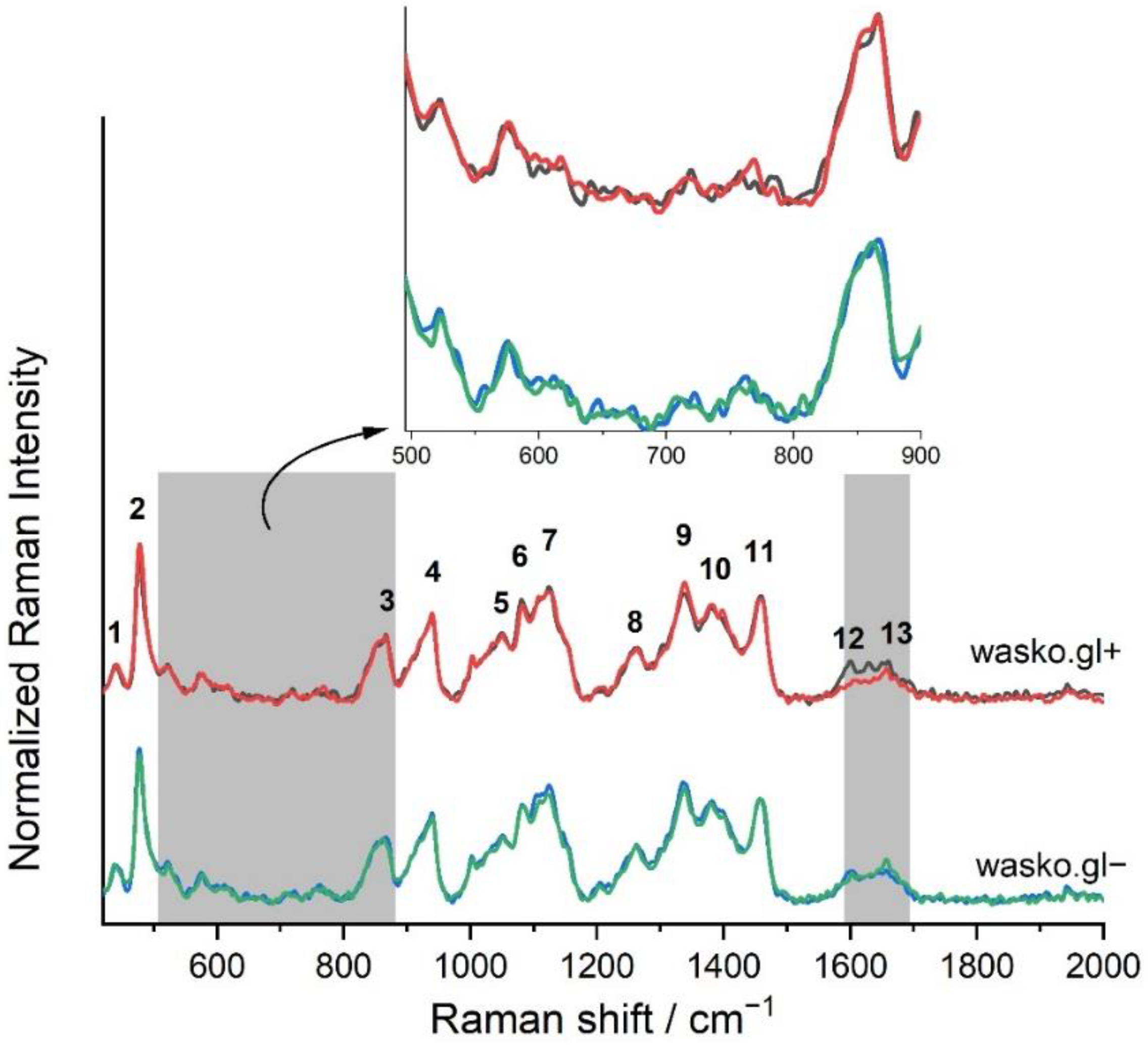 Molecules 27 05684 g004