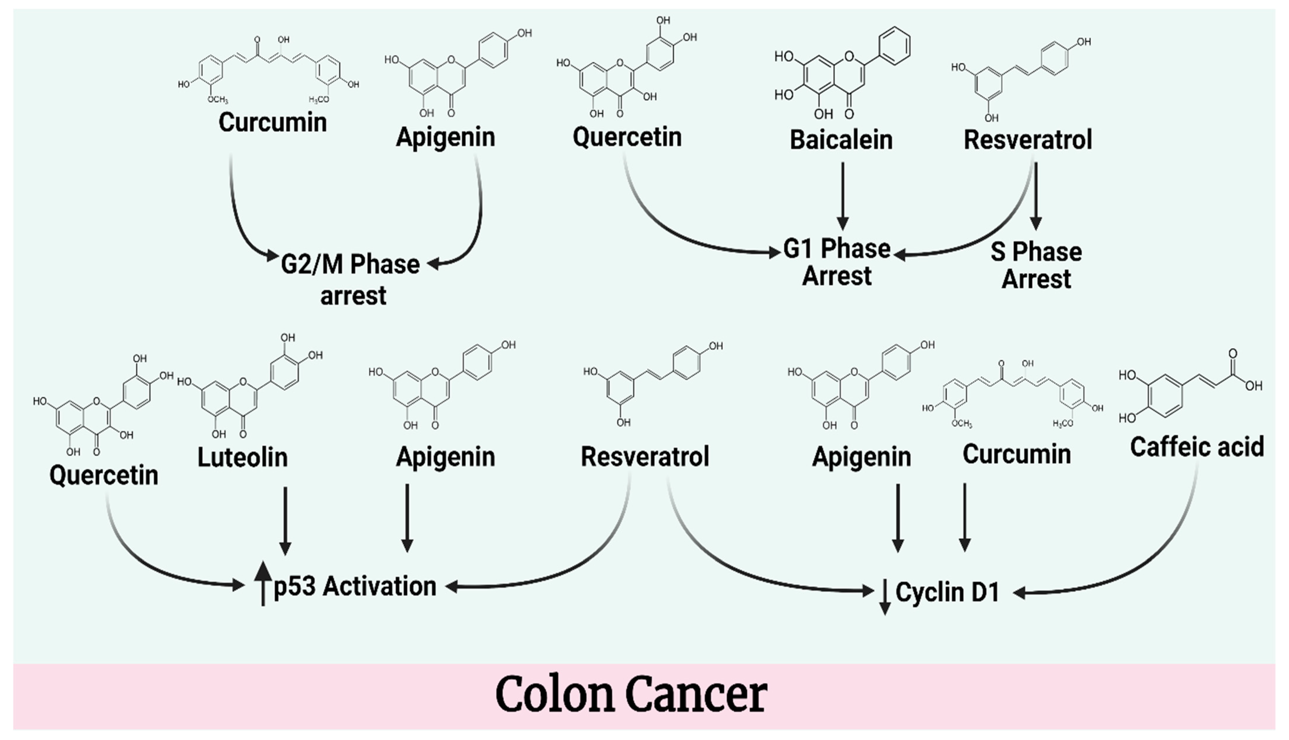 Molecules 27 05686 g004