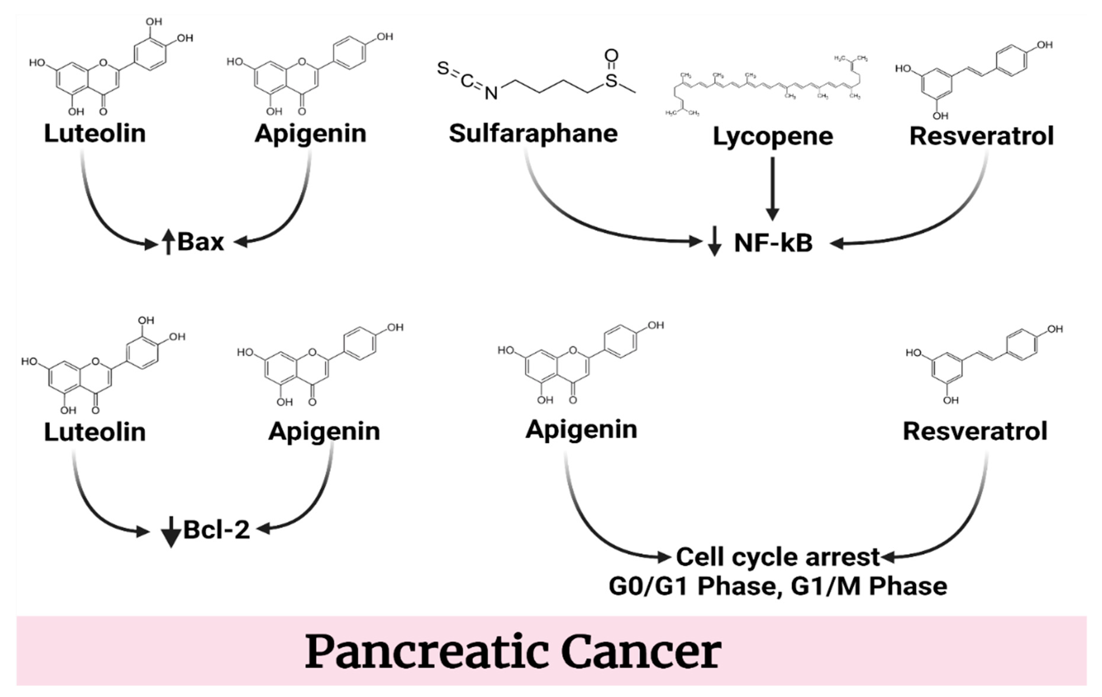 Molecules 27 05686 g006