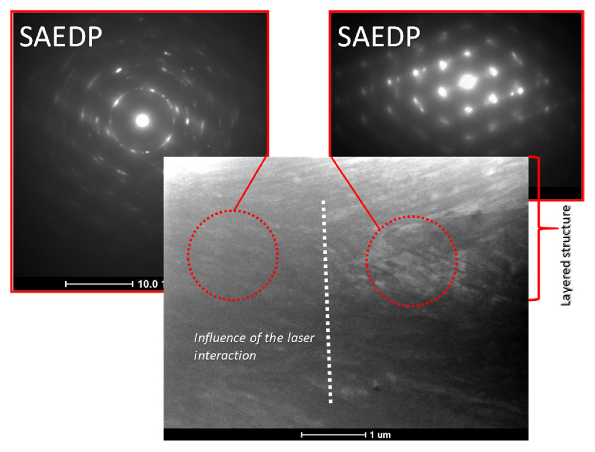 Molecules 27 05696 g005