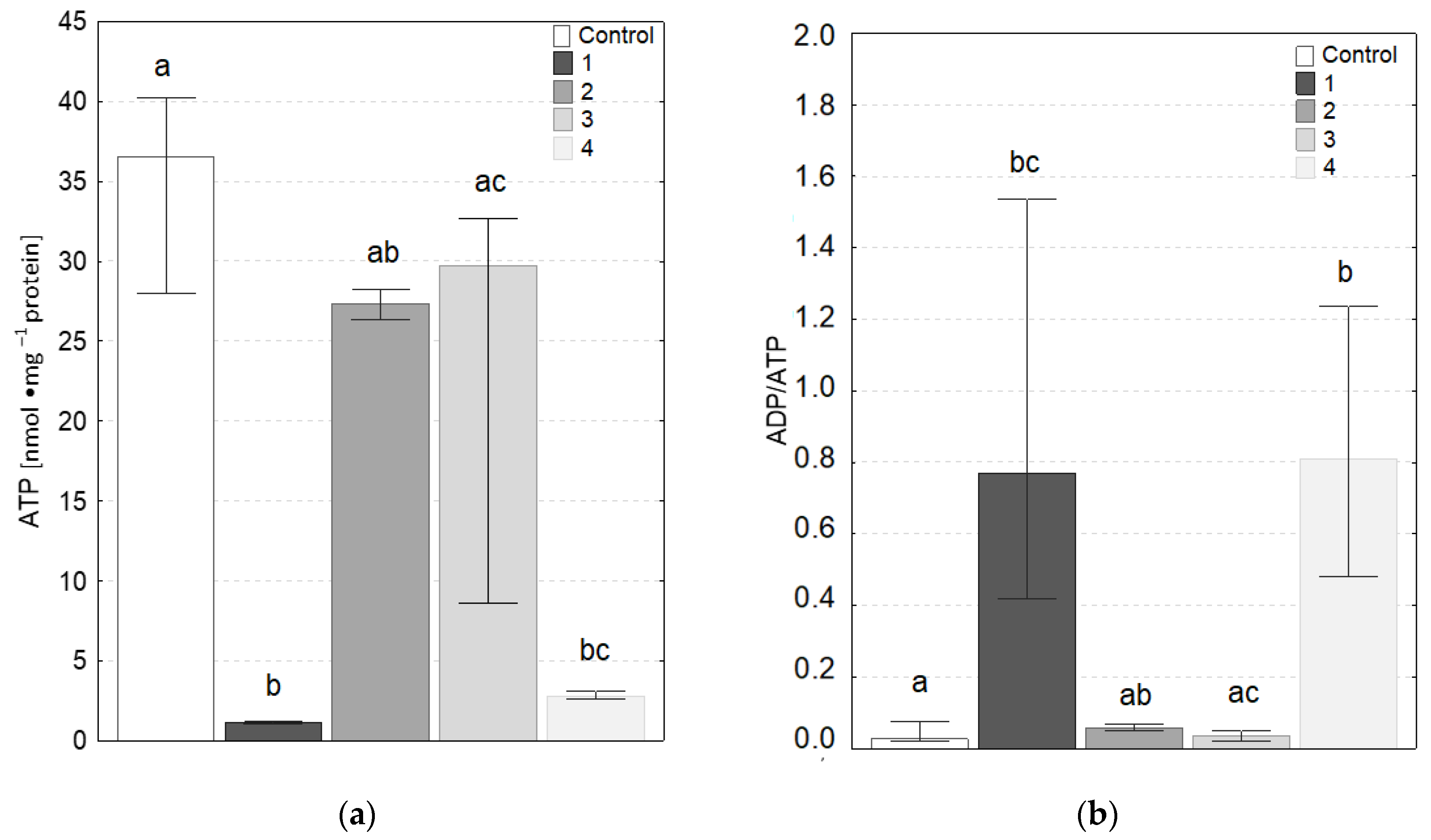 Molecules 27 05696 g007