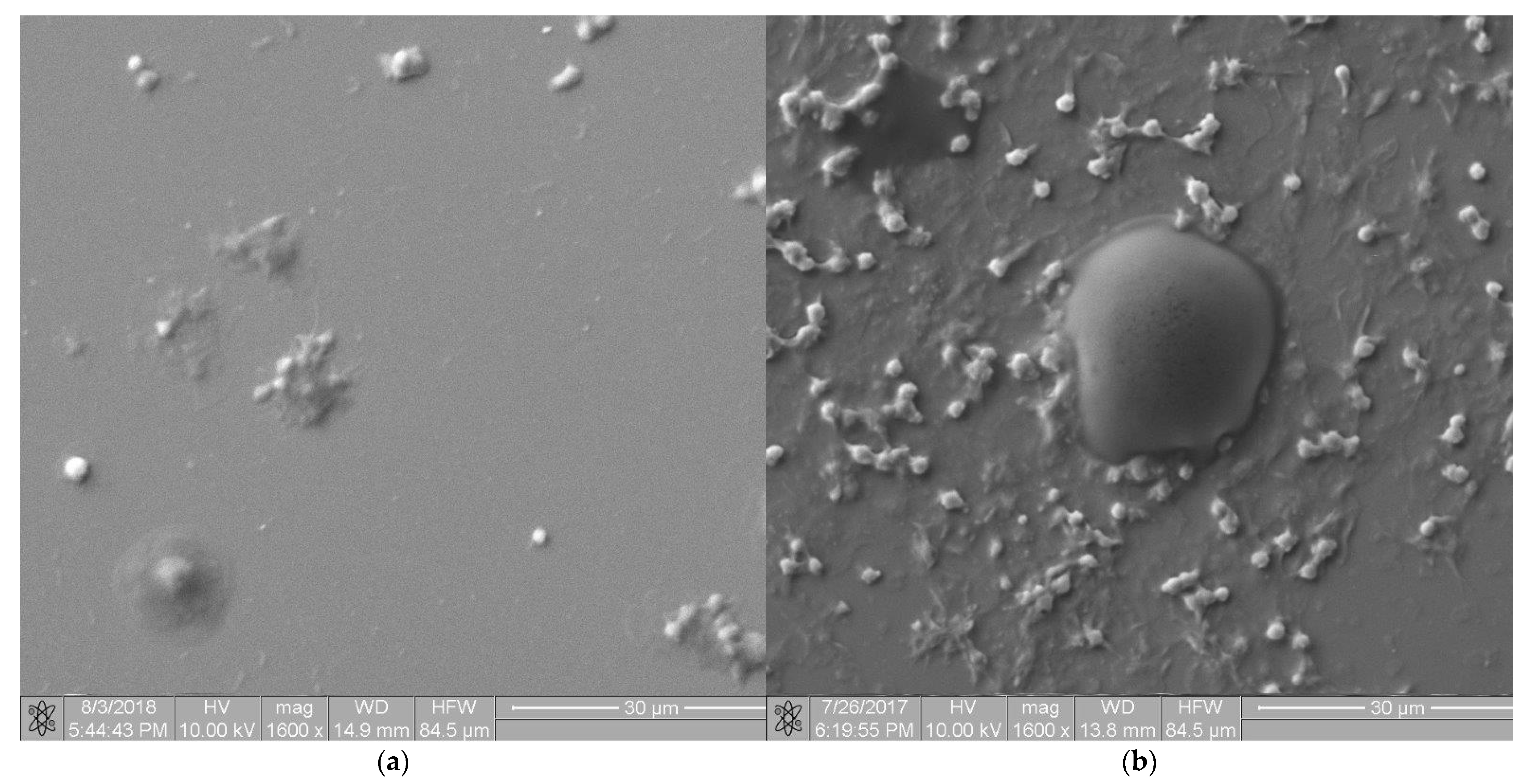 Molecules 27 05696 g009