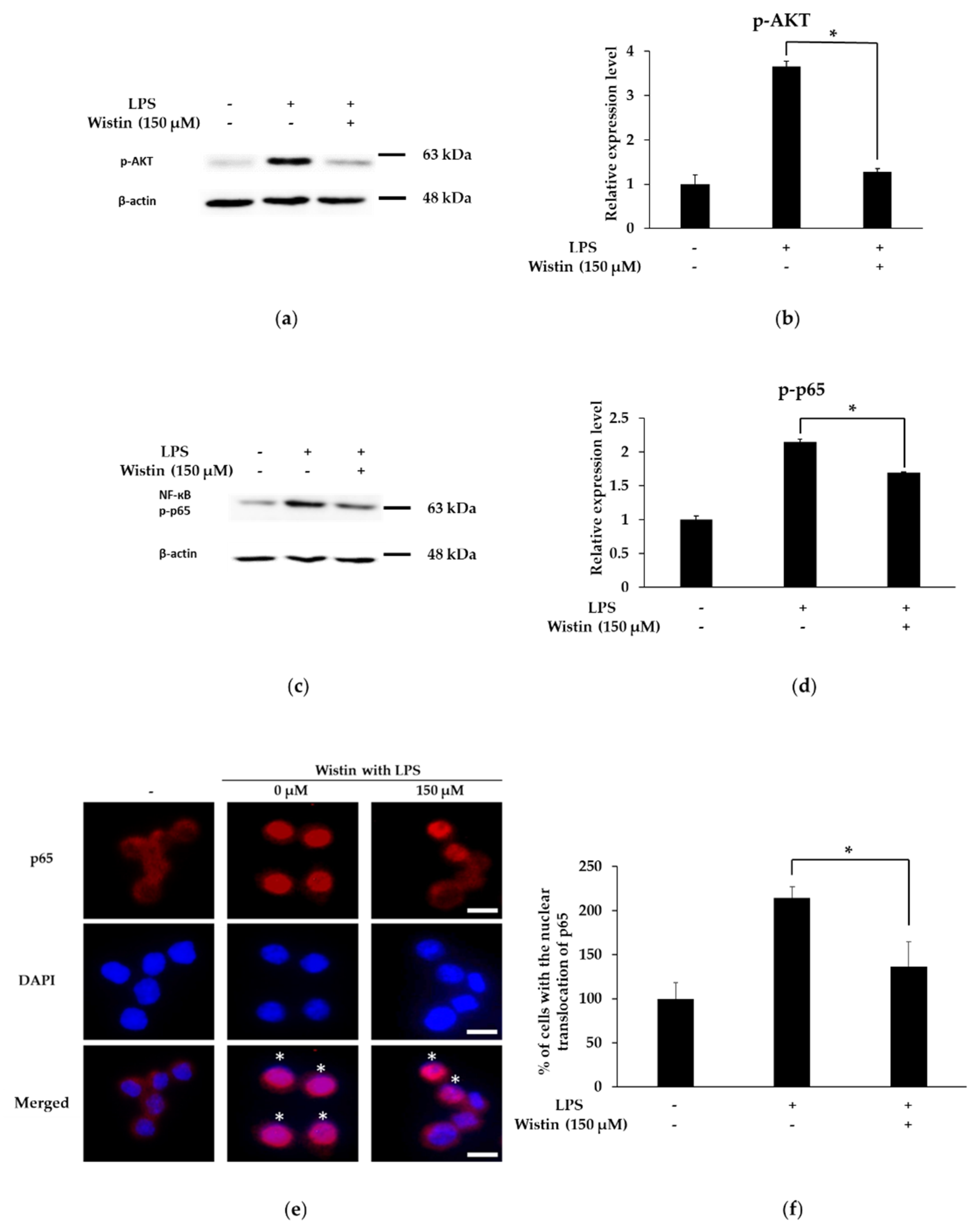 Molecules 27 05719 g005
