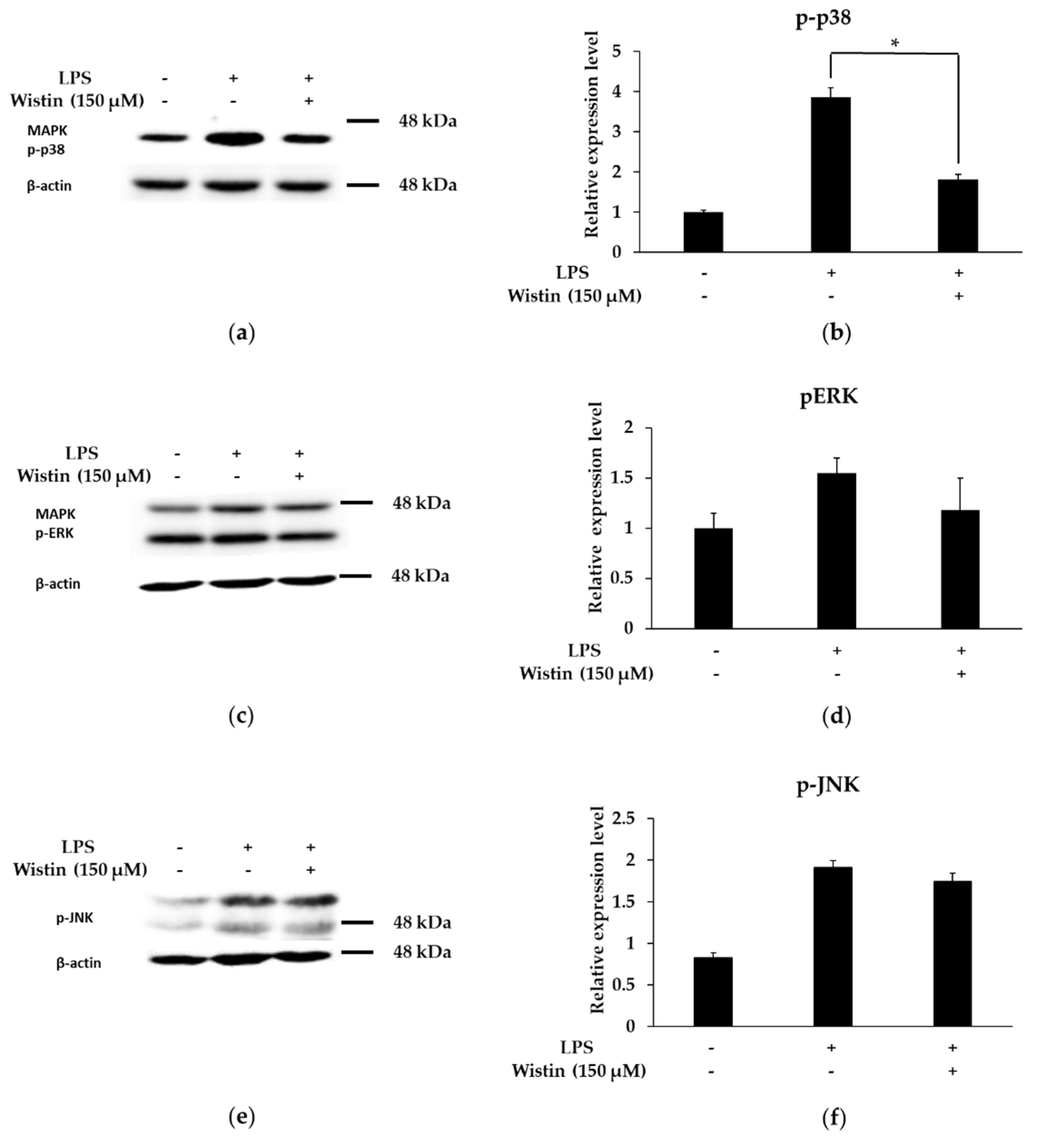 Molecules 27 05719 g006