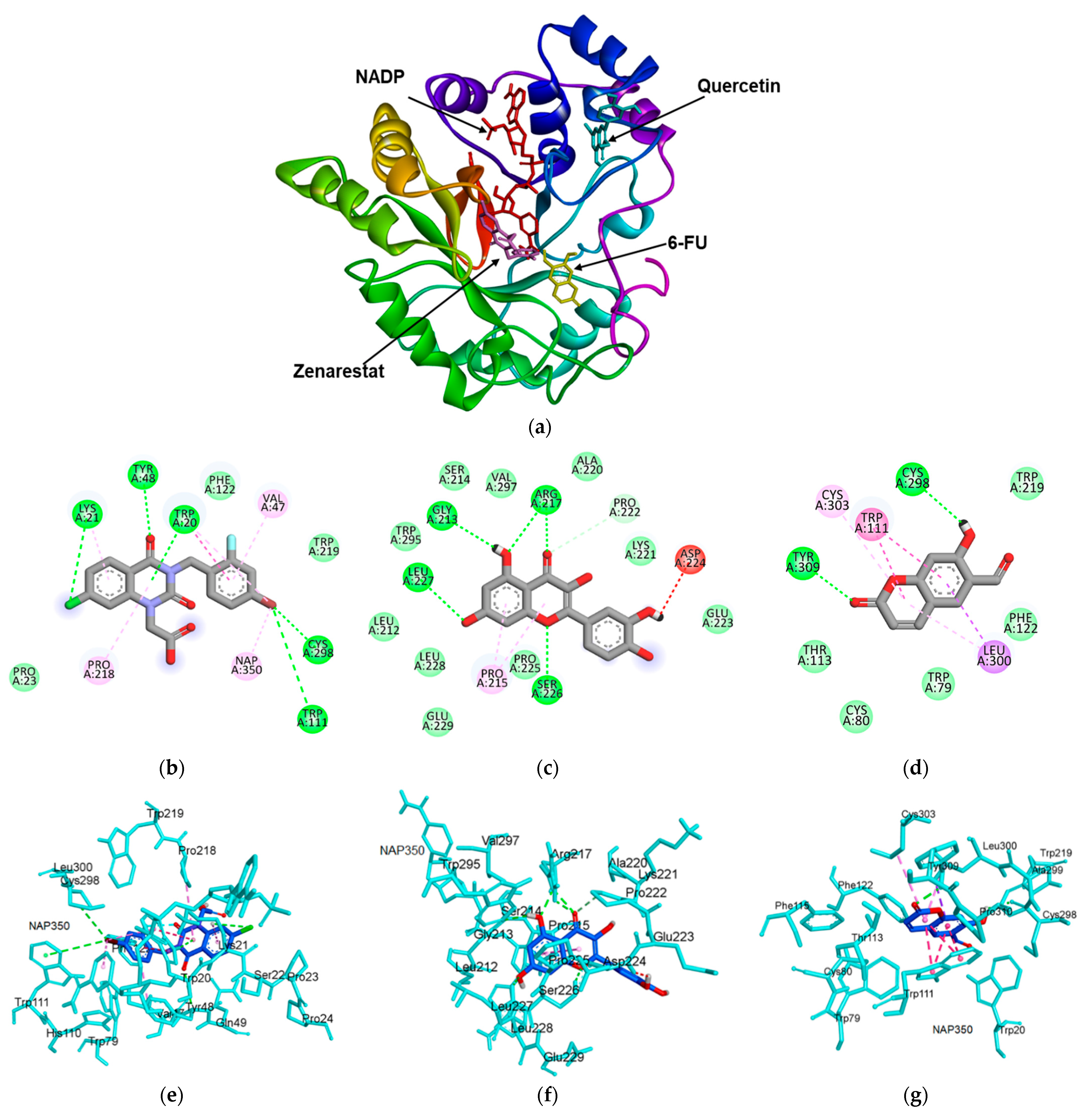 Molecules 27 05720 g004