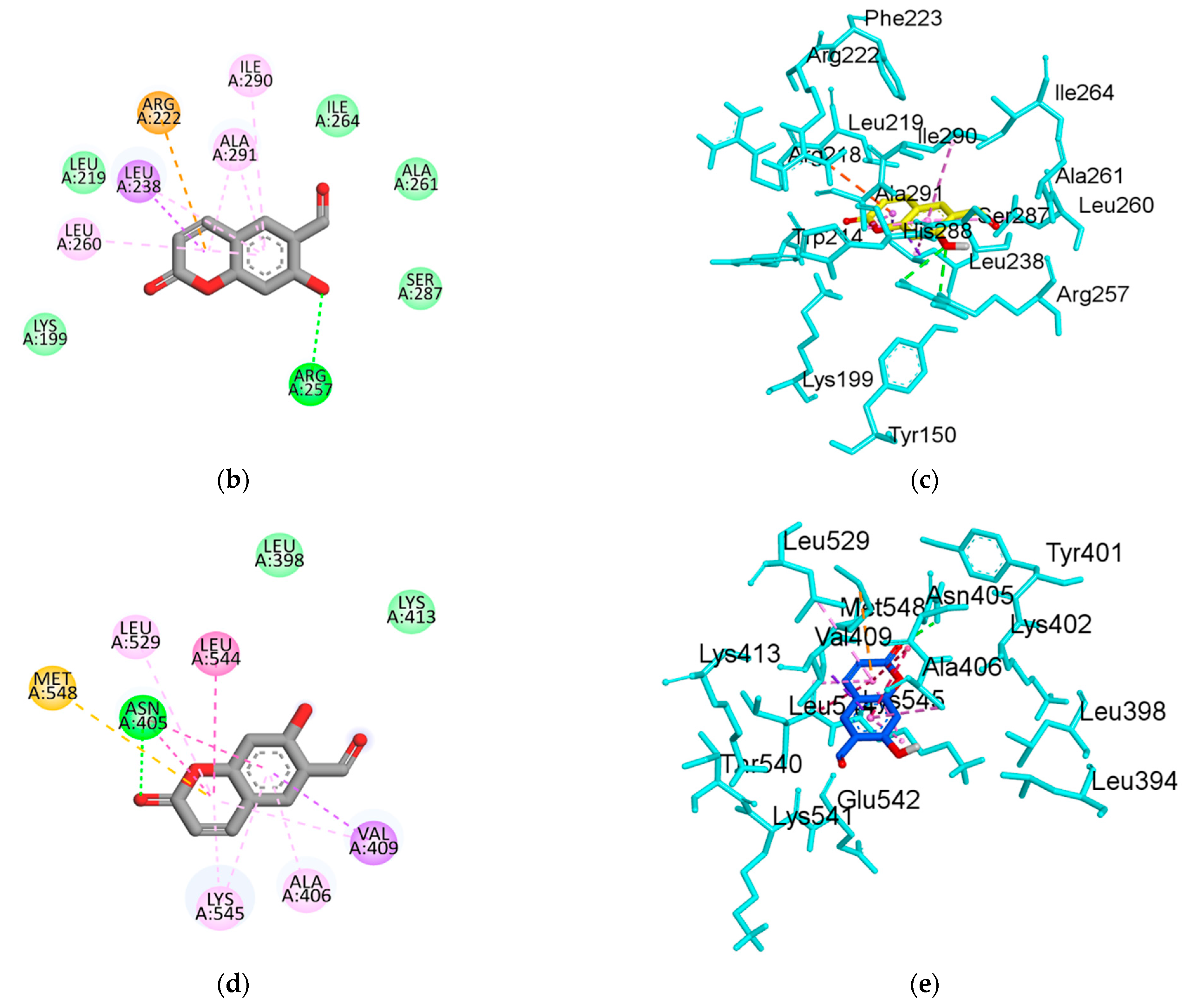 Molecules 27 05720 g005b