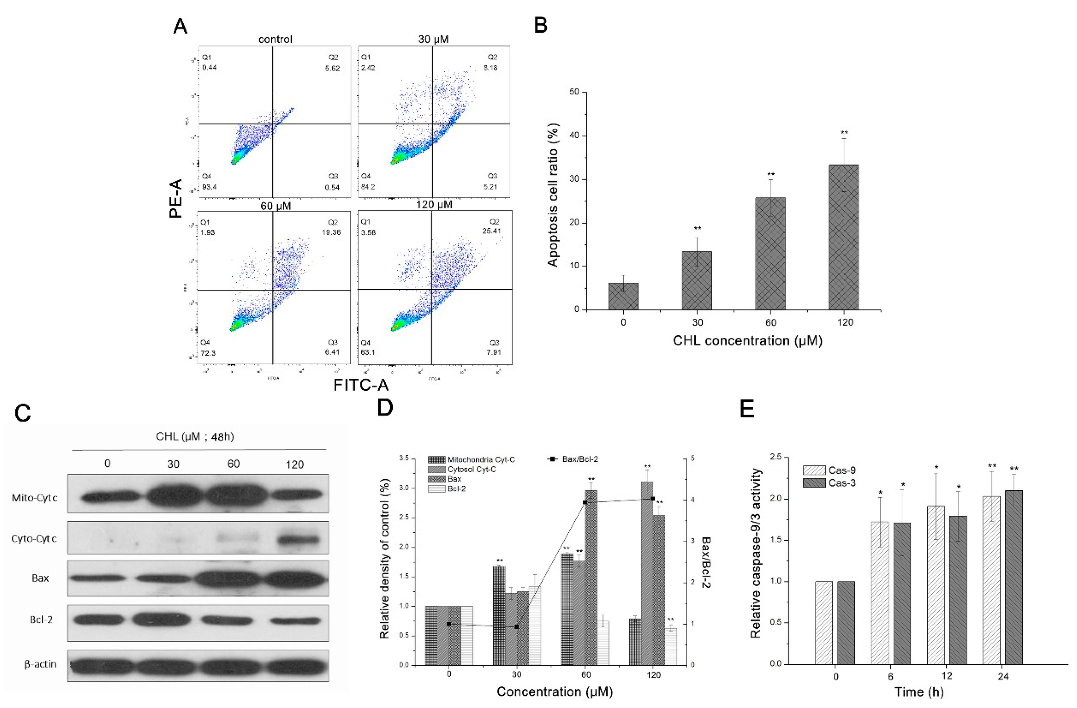 Molecules 27 05722 g005