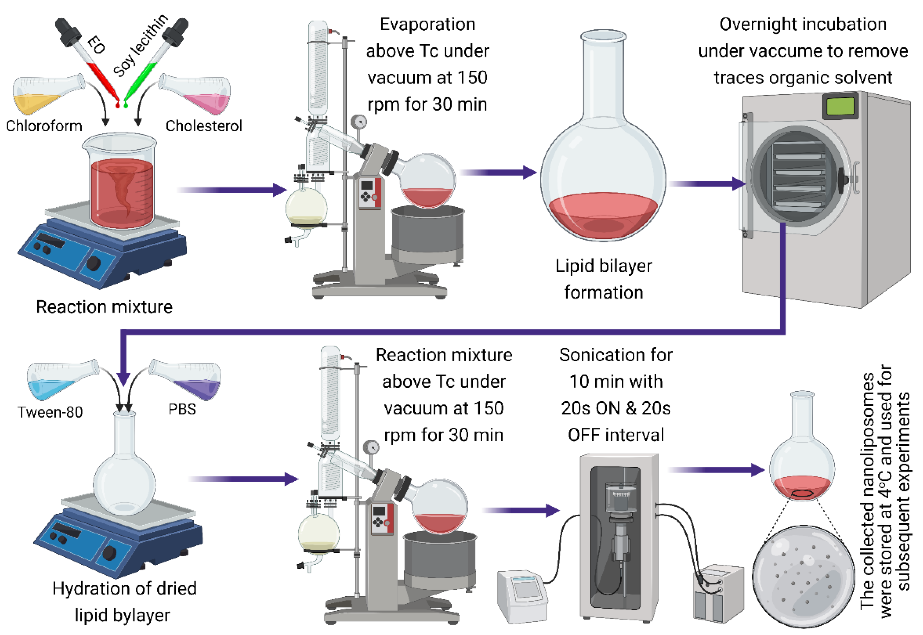Molecules 27 05728 g005