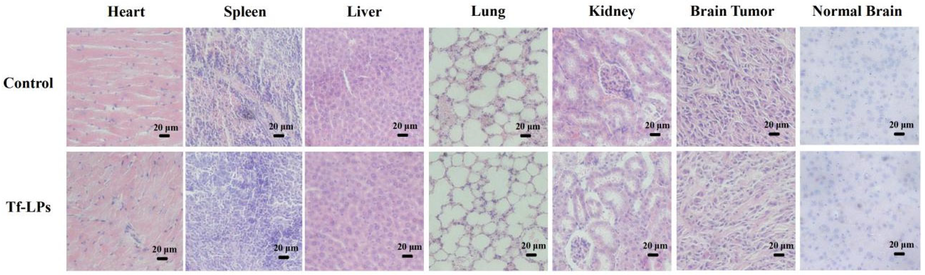 Molecules 27 05729 g001