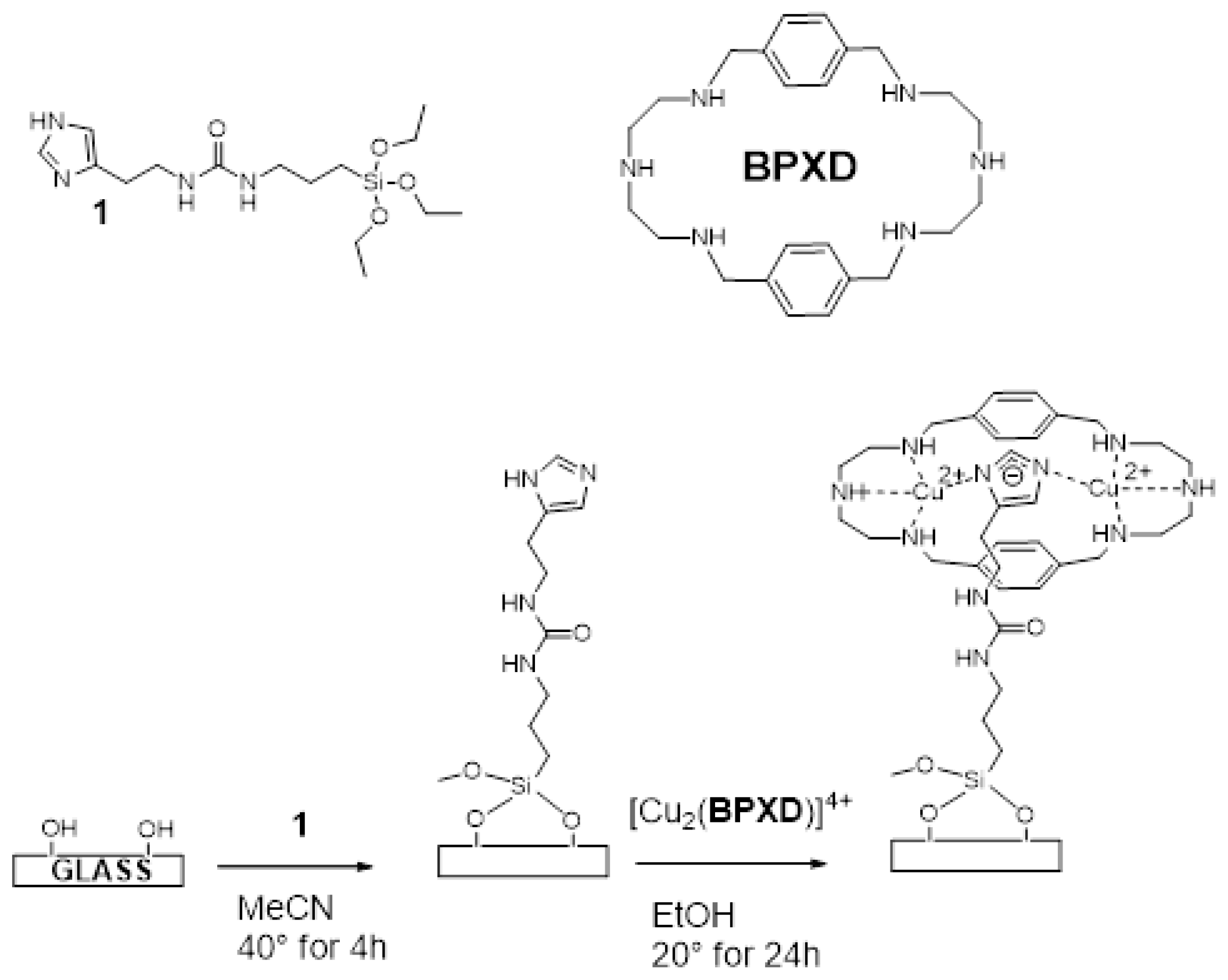 Molecules 27 05731 sch001