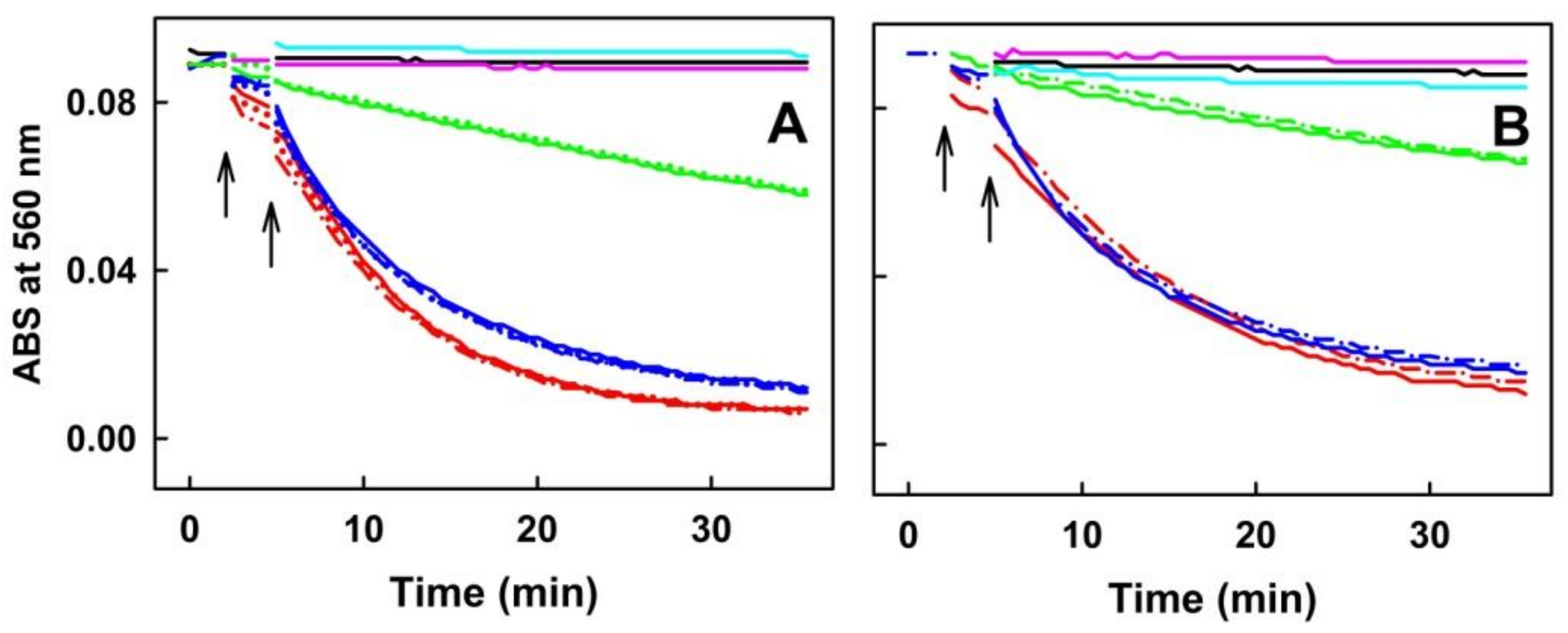 Molecules 27 05735 g008