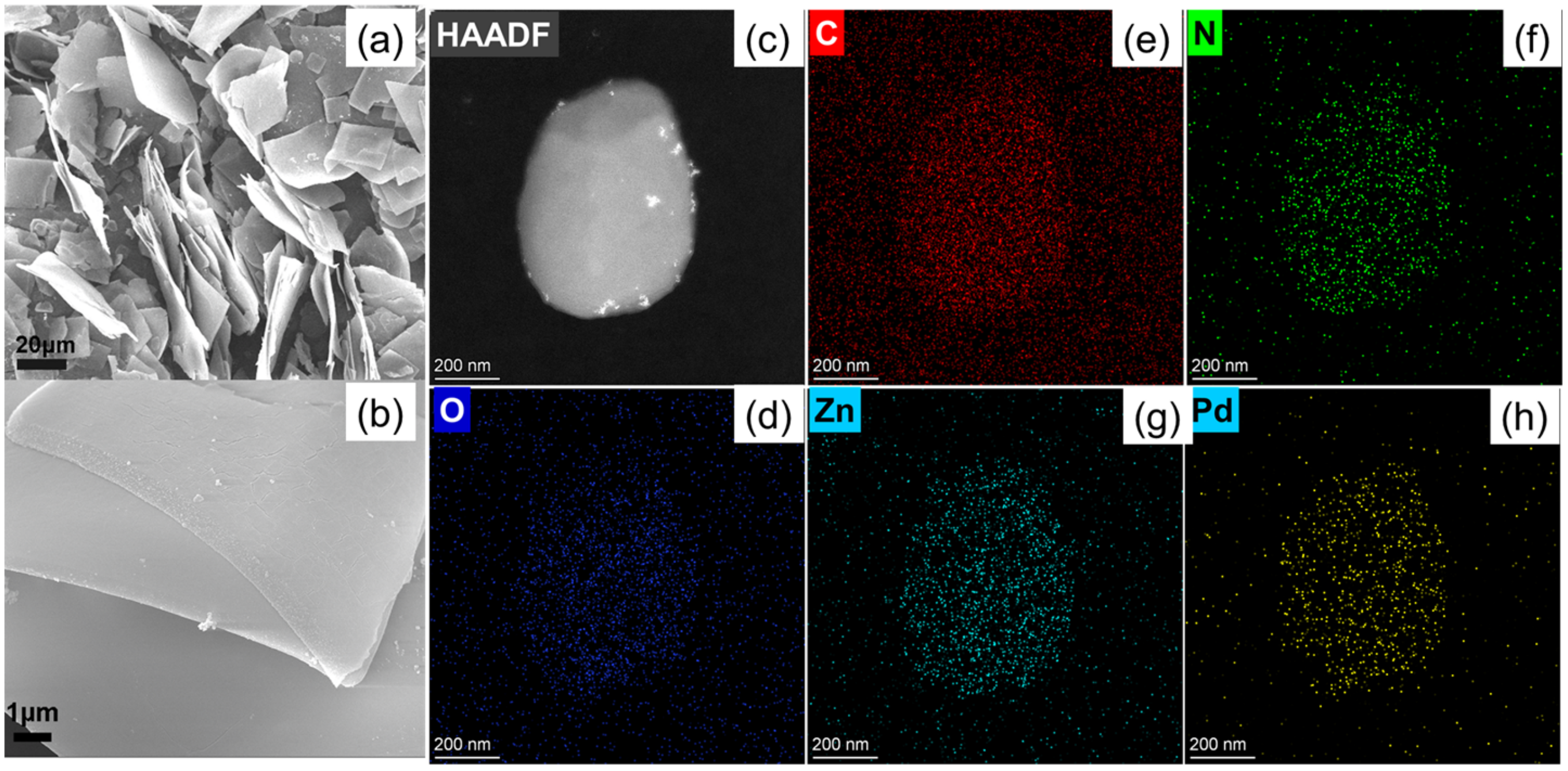 Molecules 27 05736 g002
