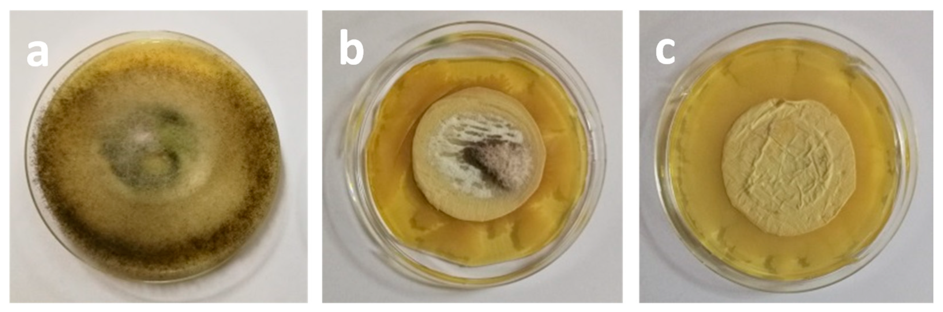 Molecules 27 05738 g005