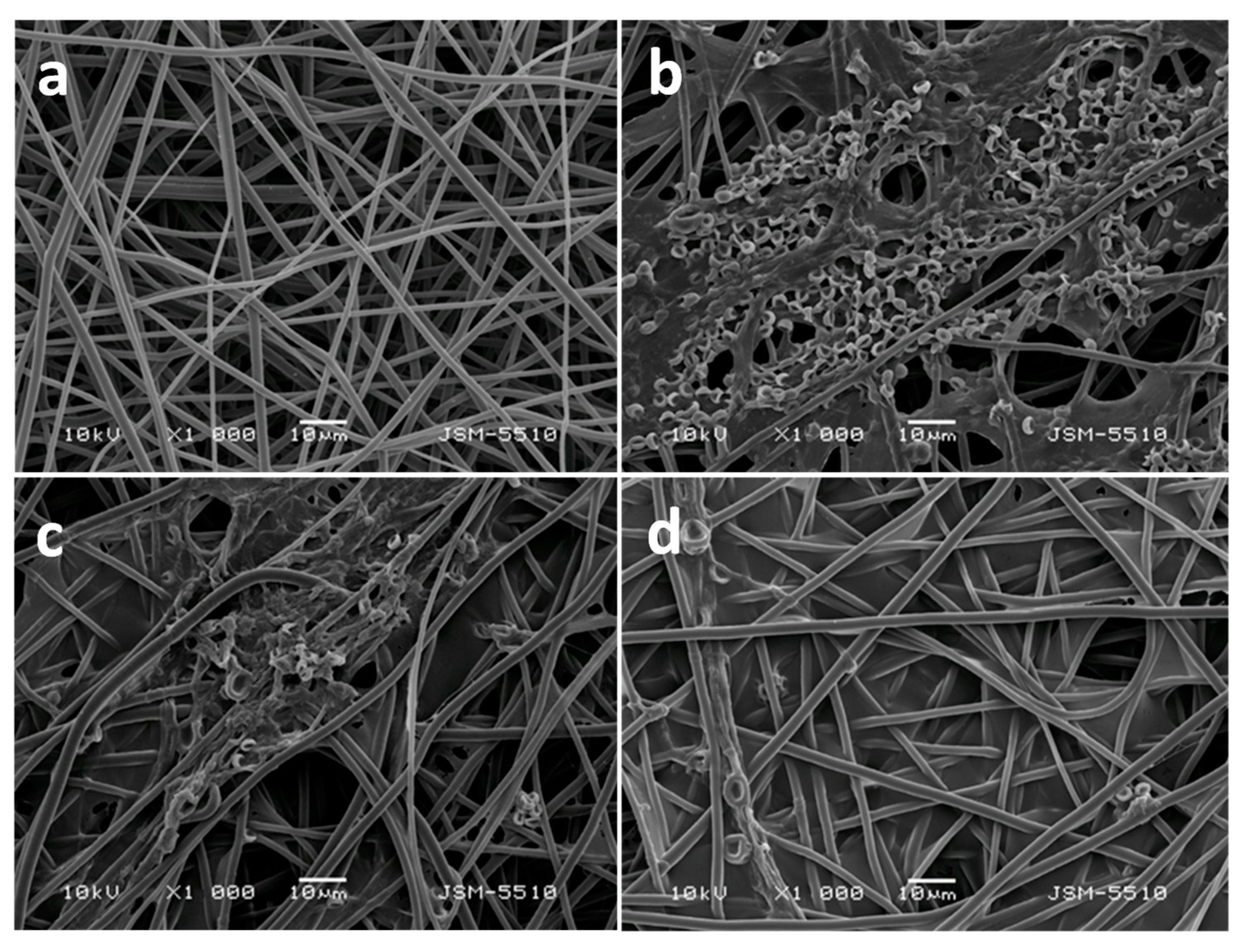 Molecules 27 05738 g007