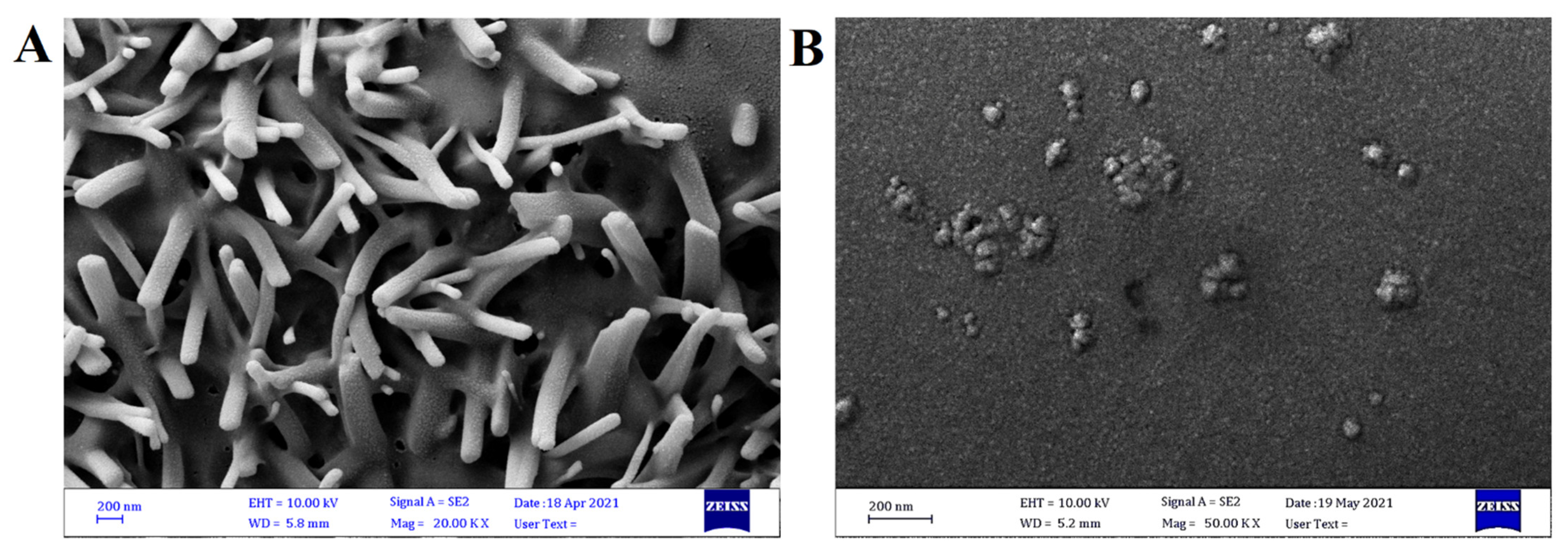 Molecules 27 05757 g006 Molecules 27 05757 g006
