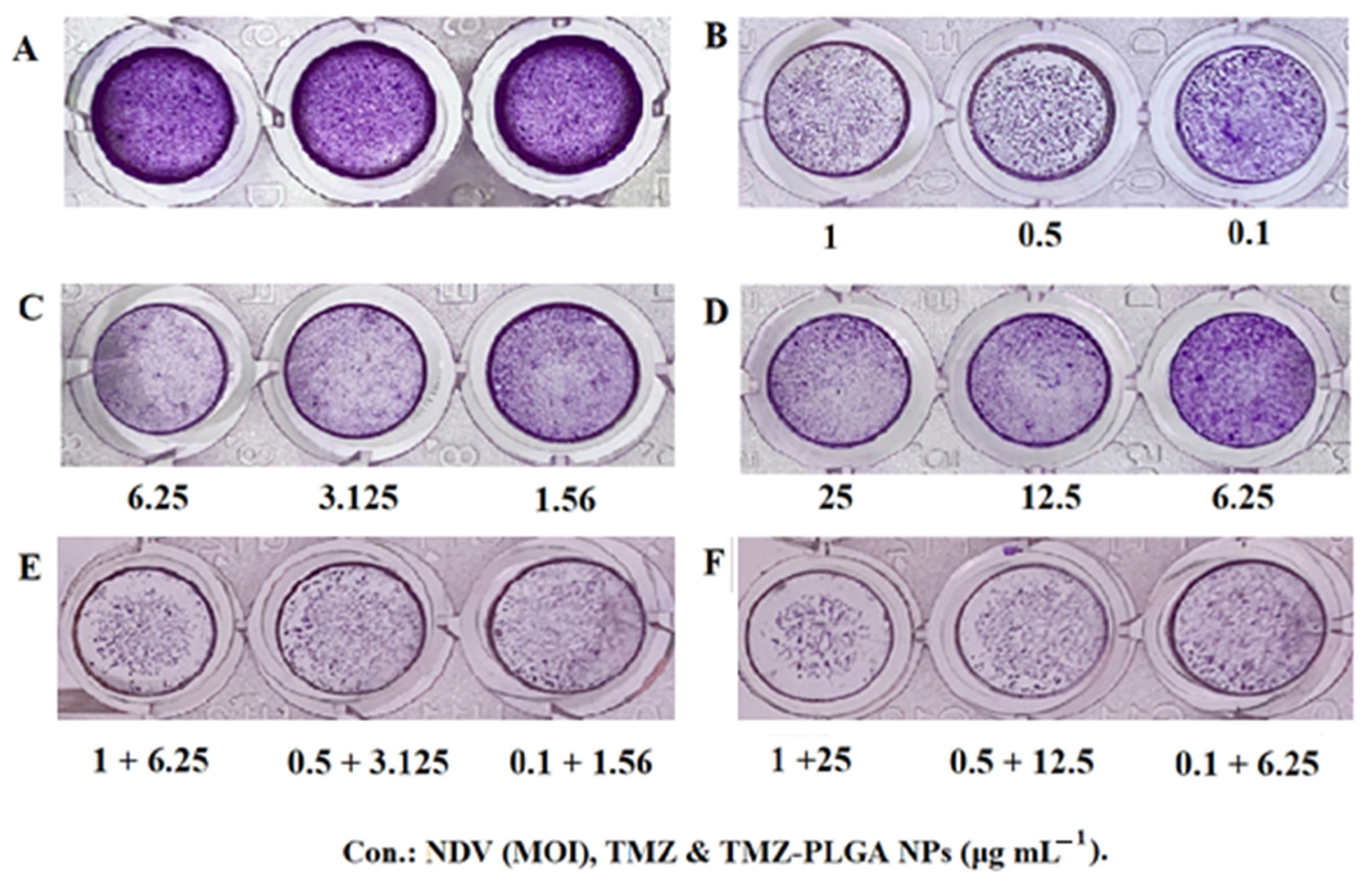 Molecules 27 05757 g012 Molecules 27 05757 g012