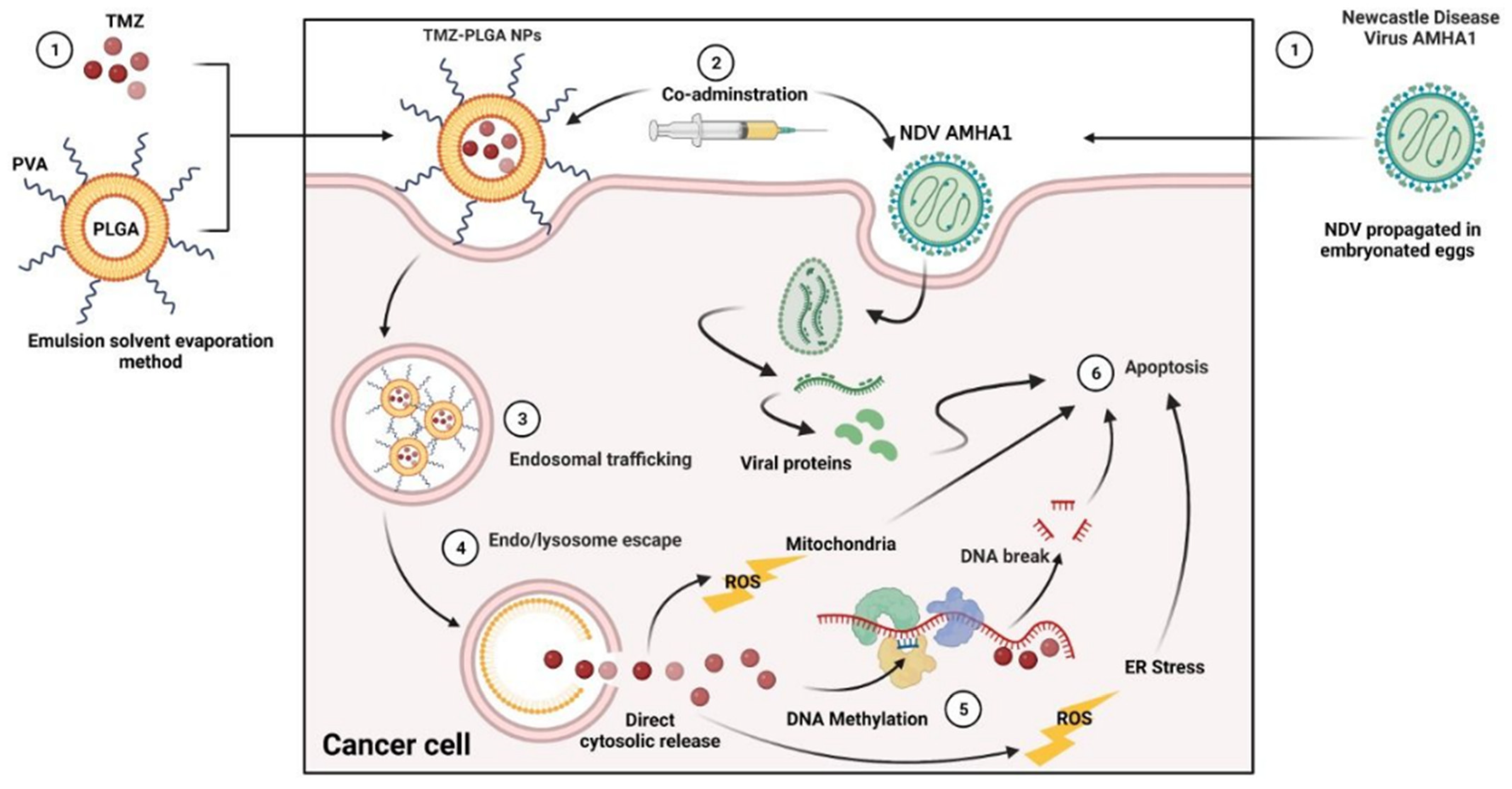 Molecules 27 05757 g015 Molecules 27 05757 g015